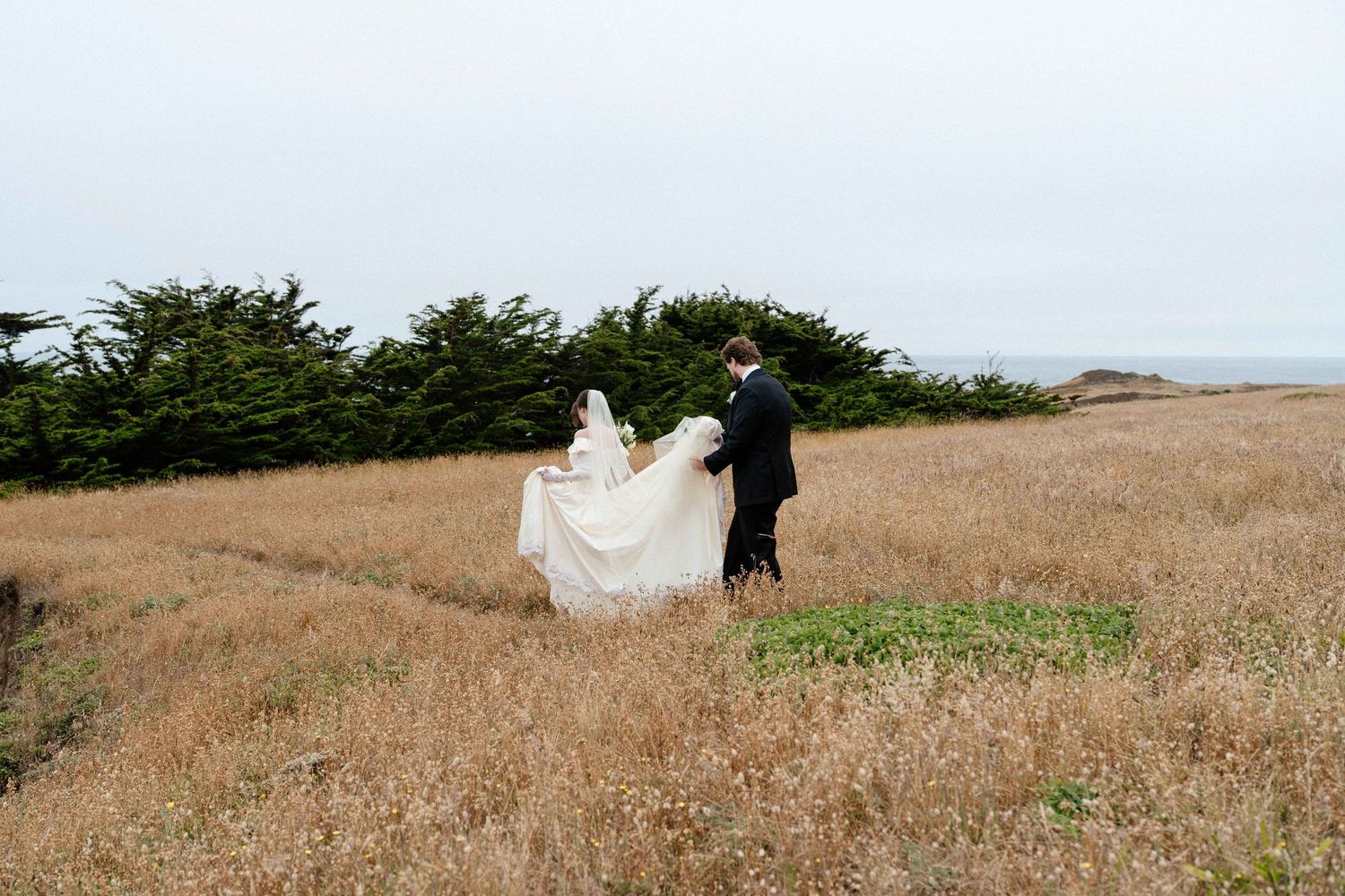 Bride and groom walking through golden coastal meadow, wedding dress flowing in breeze, evergreen trees and ocean in background.