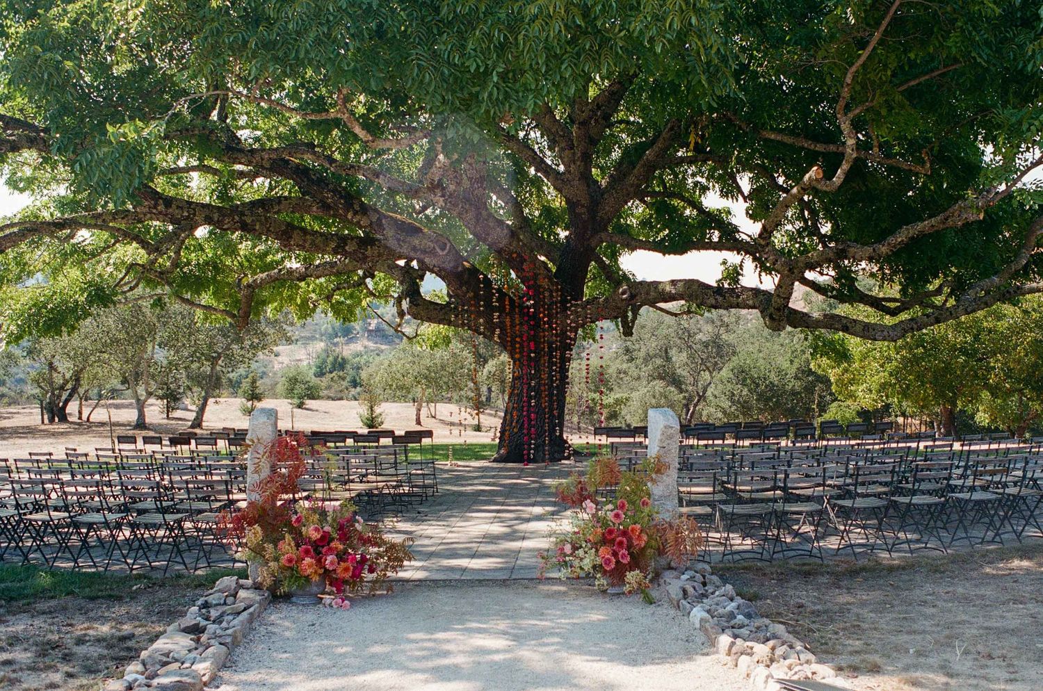 Outdoor wedding ceremony setup with rows of chairs flanking a stone aisle leading to a grand oak tree.
