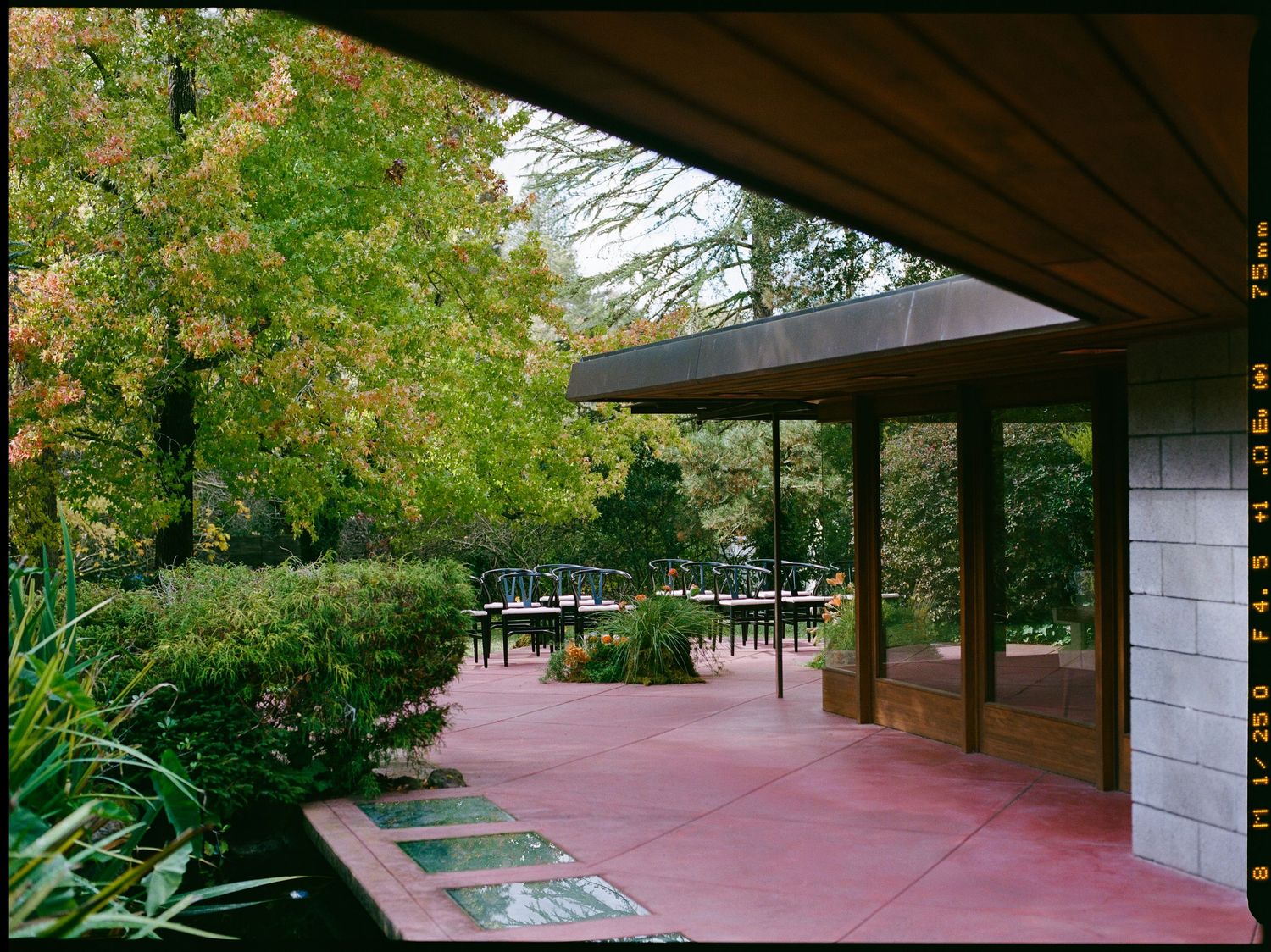 Red concrete patio with wooden overhang overlooks a lush garden with colorful autumn trees and outdoor seating.