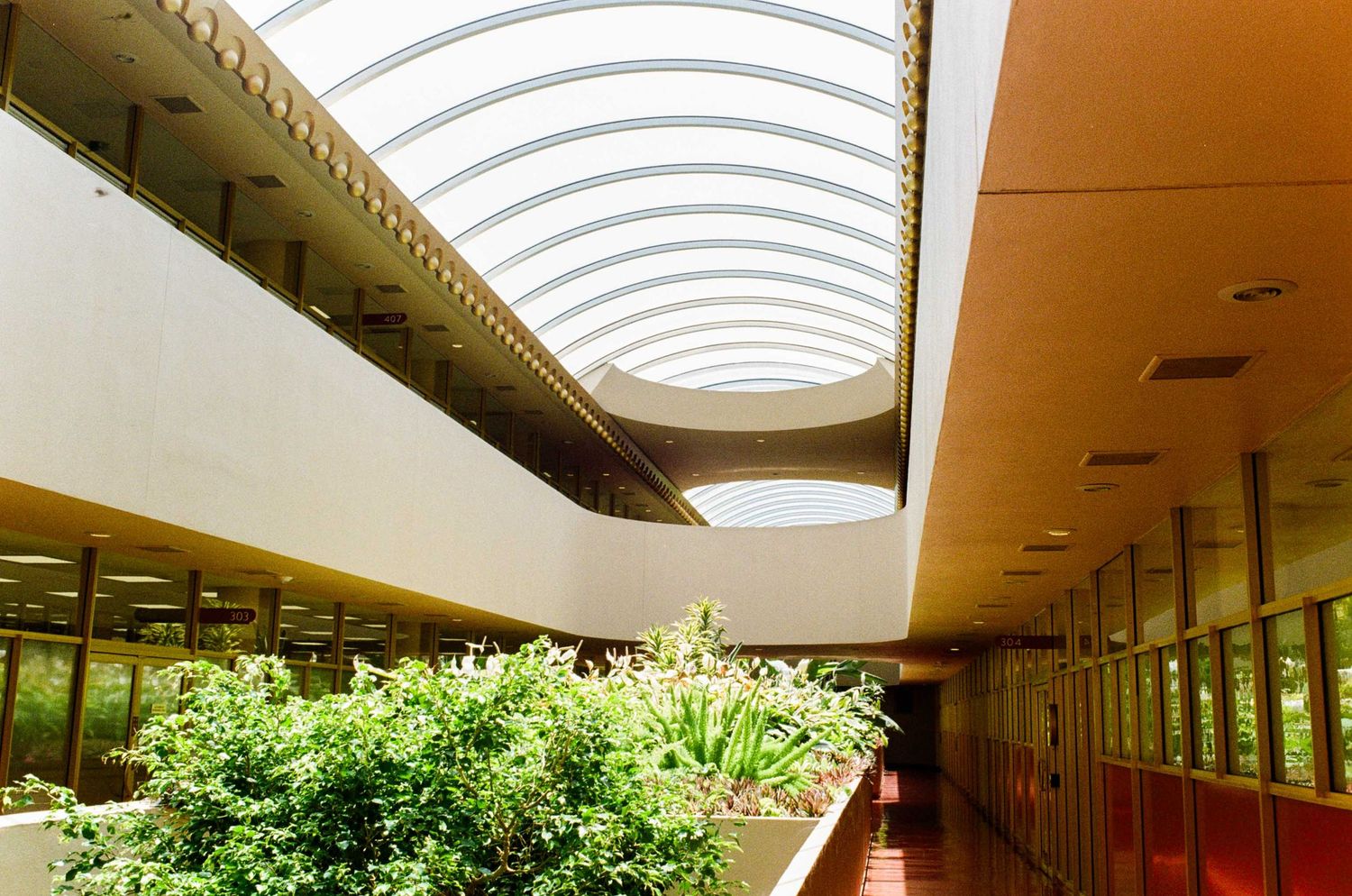 Modern building corridor with arched skylight ceiling, lush green plants, and floor-to-ceiling windows along a hallway.