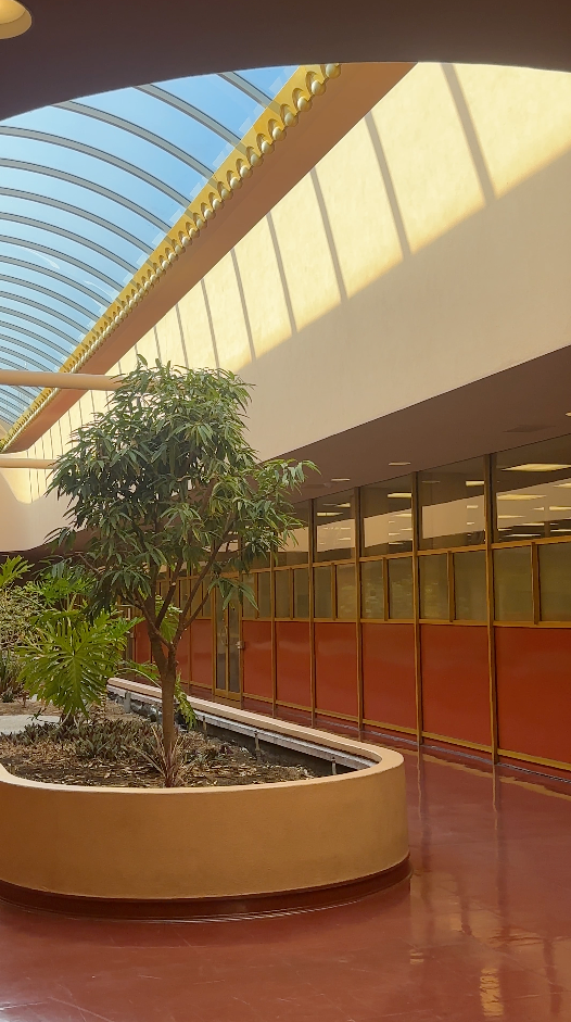 Sunlit atrium with curved skylight, indoor tree planter, and floor-to-ceiling windows in a modern building.