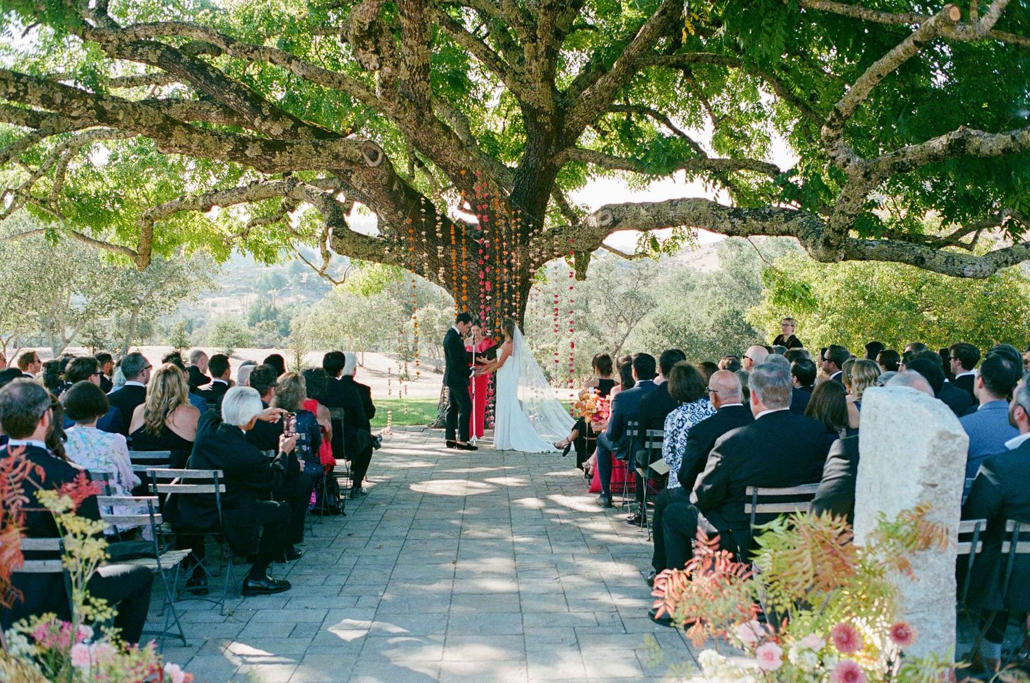 Outdoor wedding ceremony under a large oak tree with guests seated on a sunny day.