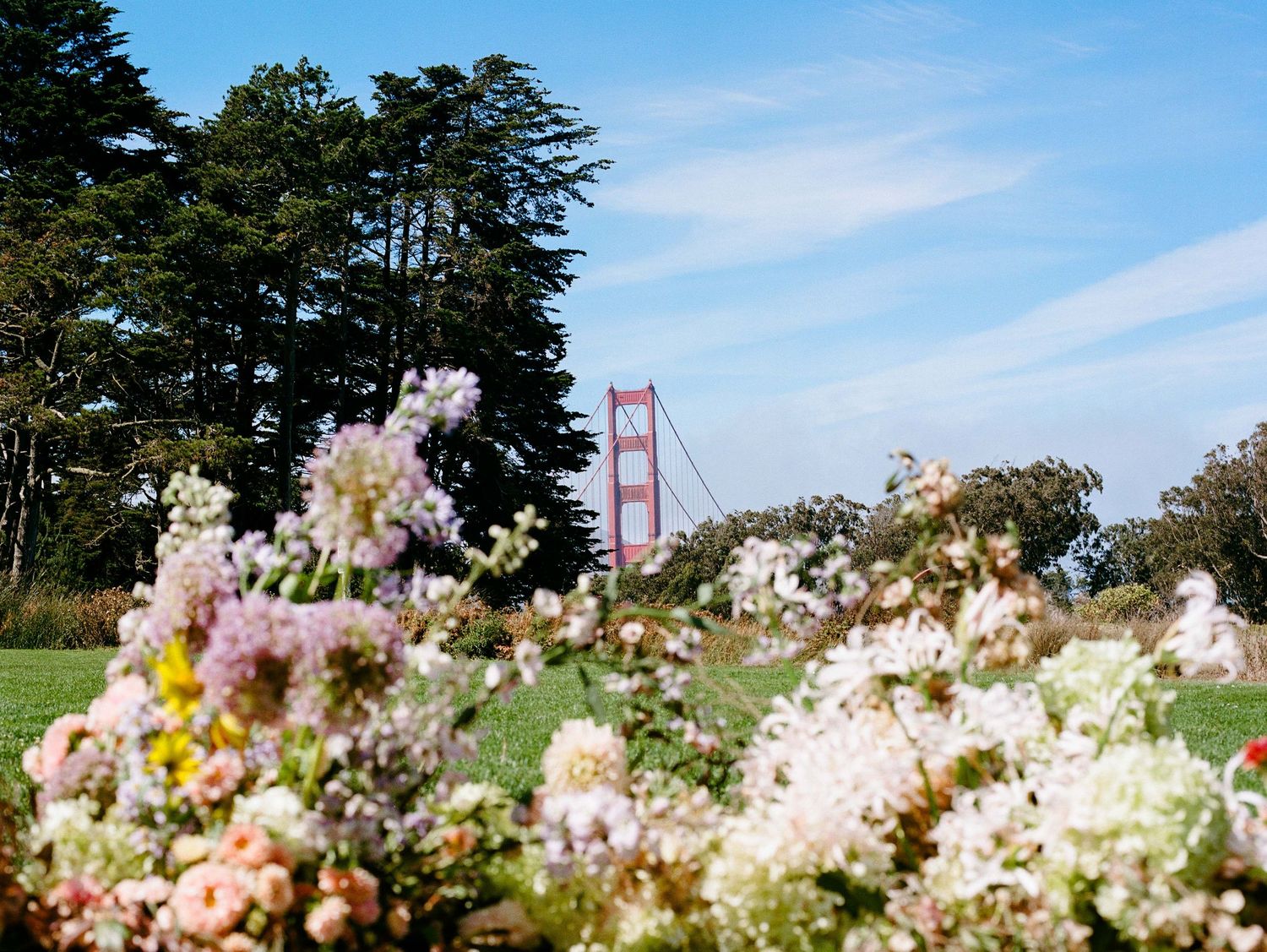 Colorful flowers bloom in the foreground with the iconic Golden Gate Bridge and tall trees visible under a blue sky.