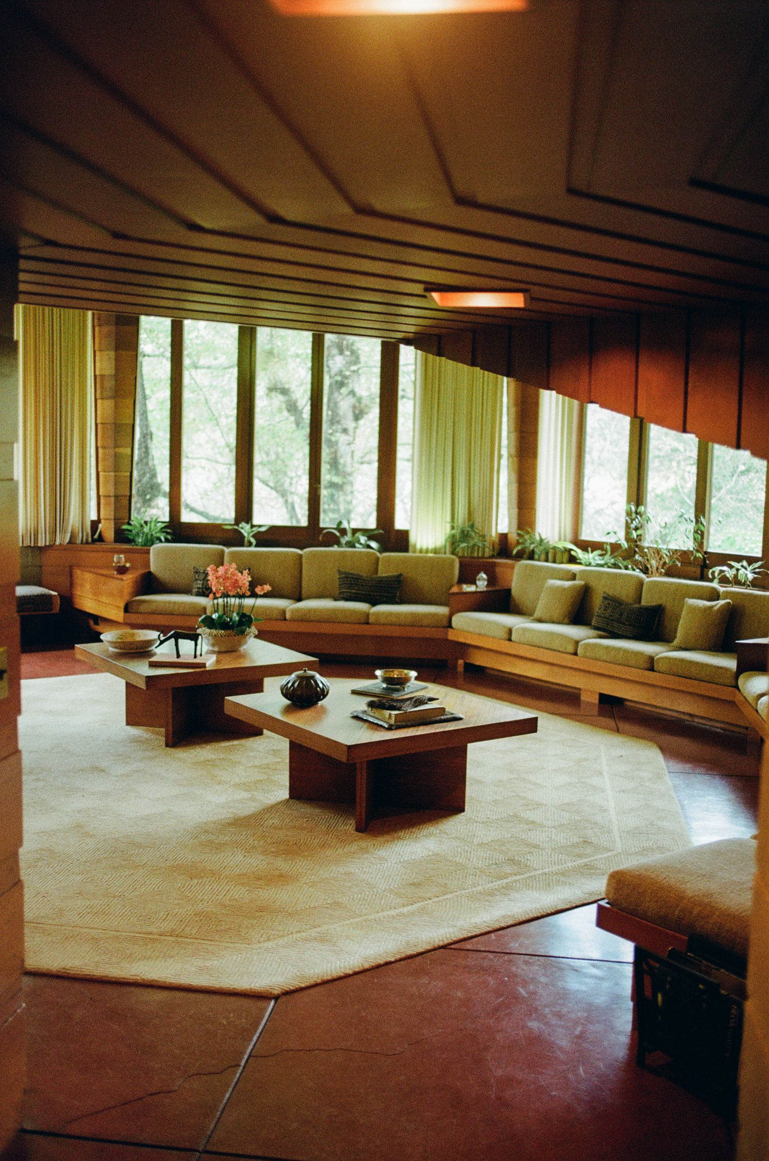 Mid-century modern living room.