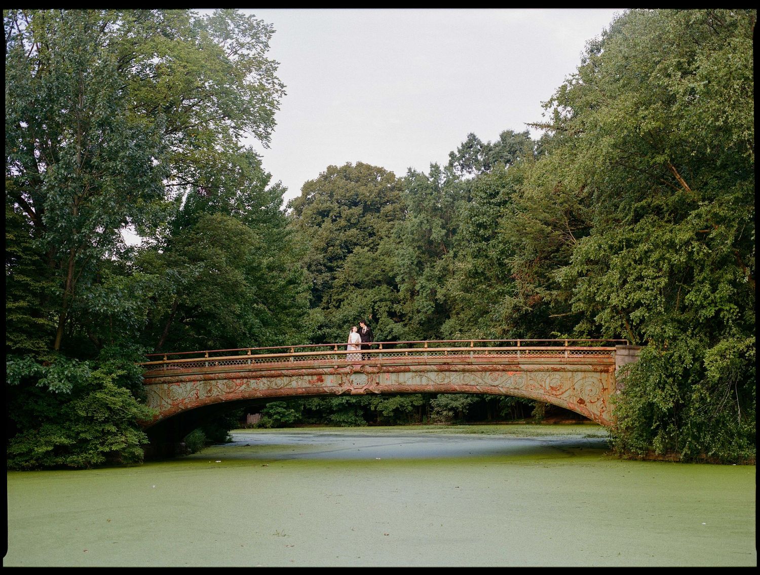 A stone arch bridge over a green algae-covered pond surrounded by lush trees in a serene park setting.