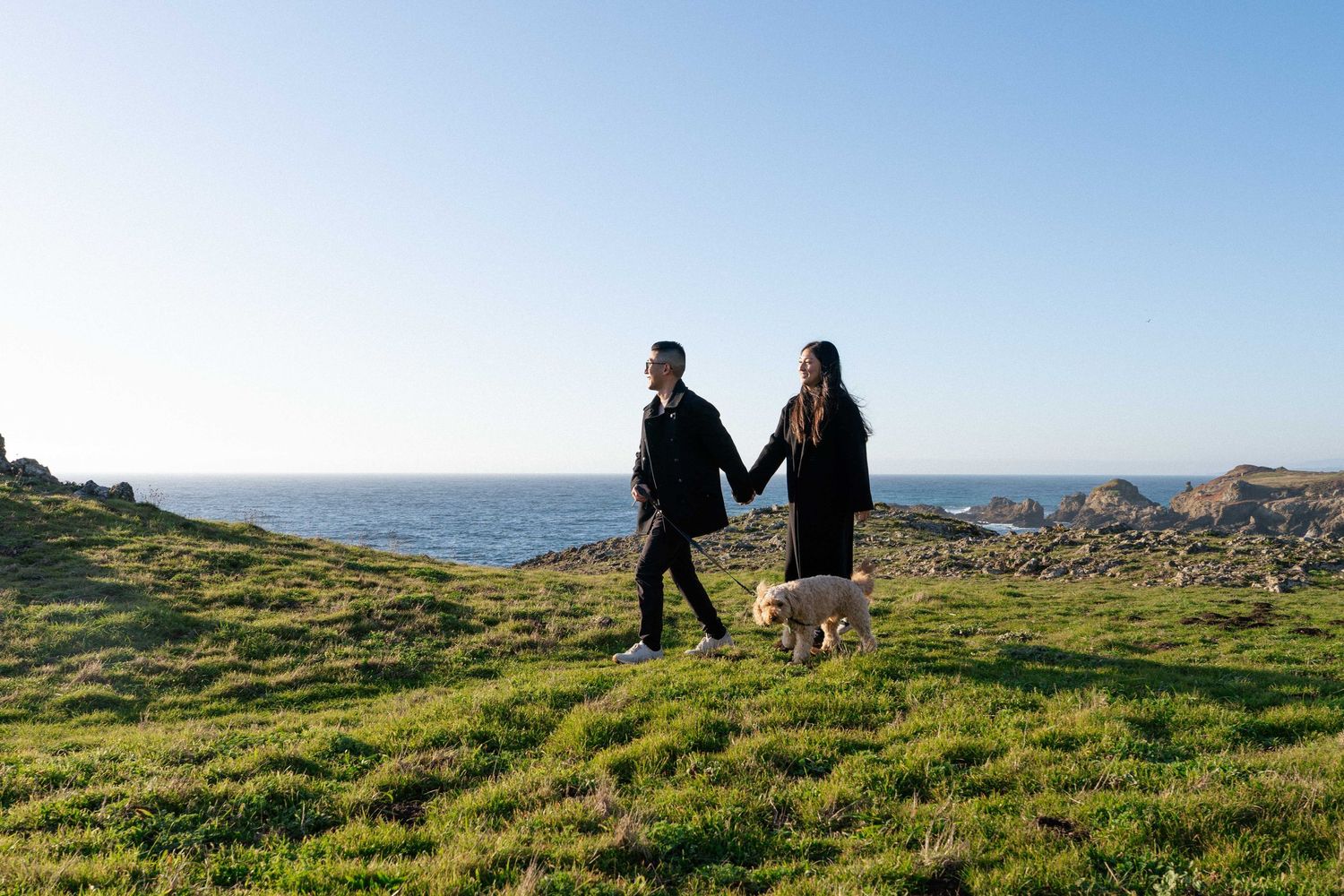 Couple holding hands walking with a white dog on a green coastal cliff overlooking the ocean on a clear day.