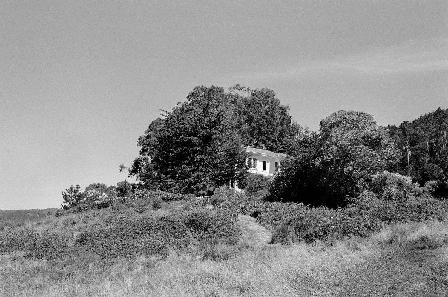 Black and white photograph of an abandoned house sitting on a hillside surrounded by tall grass and trees.