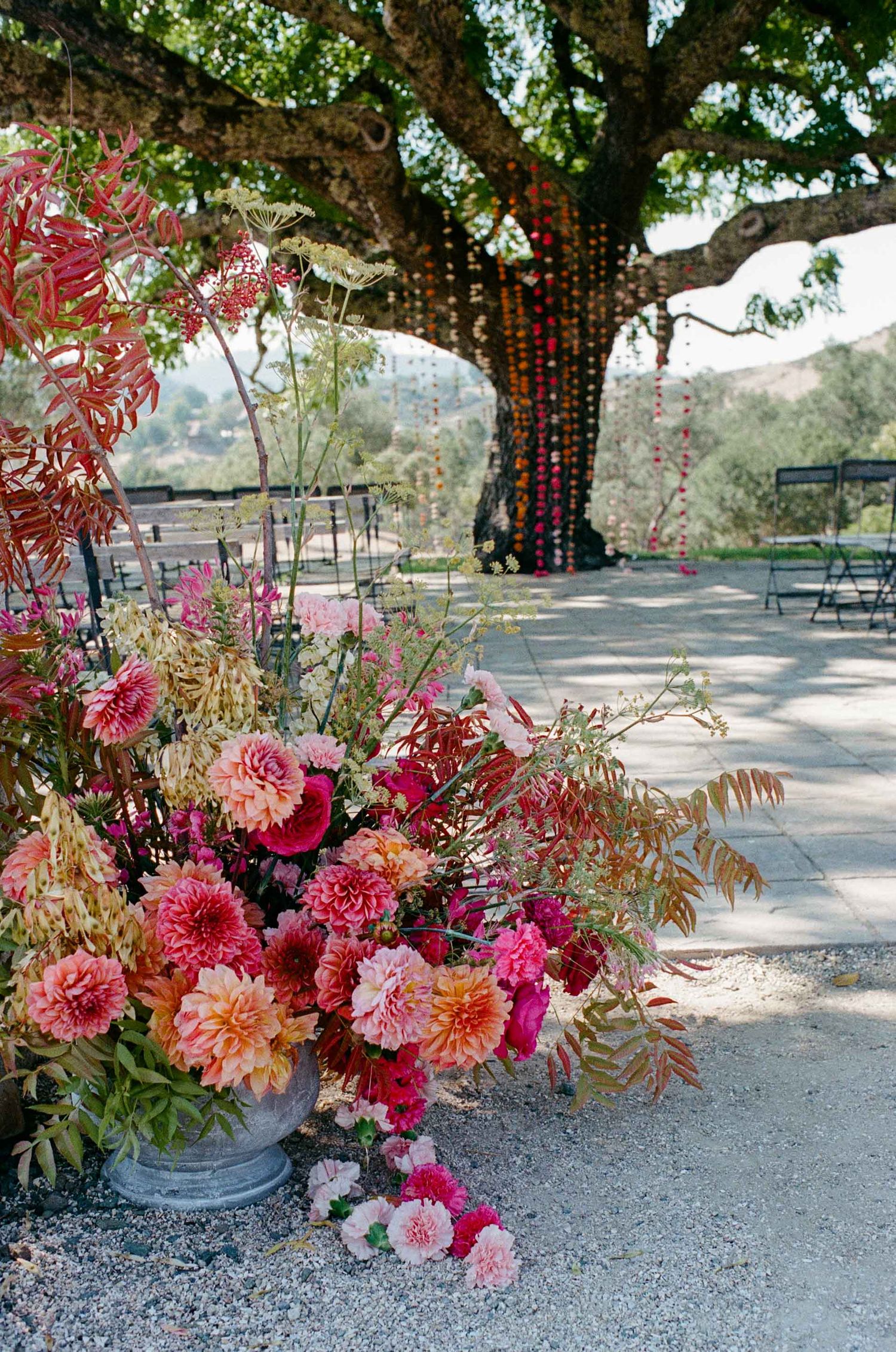 Lush pink and coral dahlia floral arrangement beside a large oak tree decorated with hanging garlands outdoors.