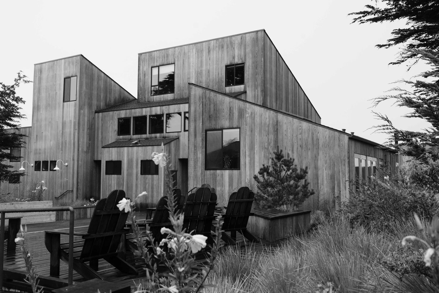 Black and white photo of a rustic wooden cabin surrounded by wild grass and shrubs, with Adirondack chairs on a deck.