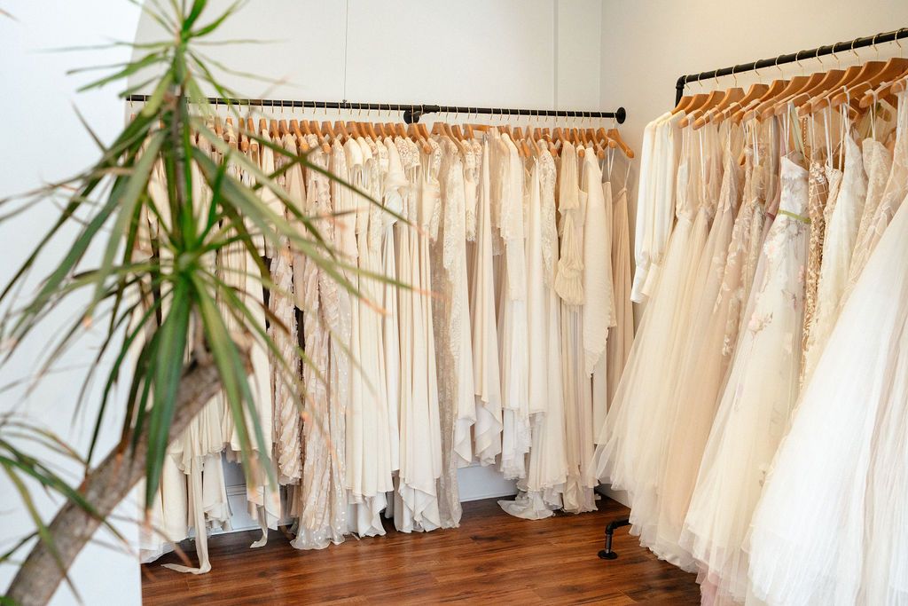 Wedding dress showroom with tropical plant and rows of white gowns on display.