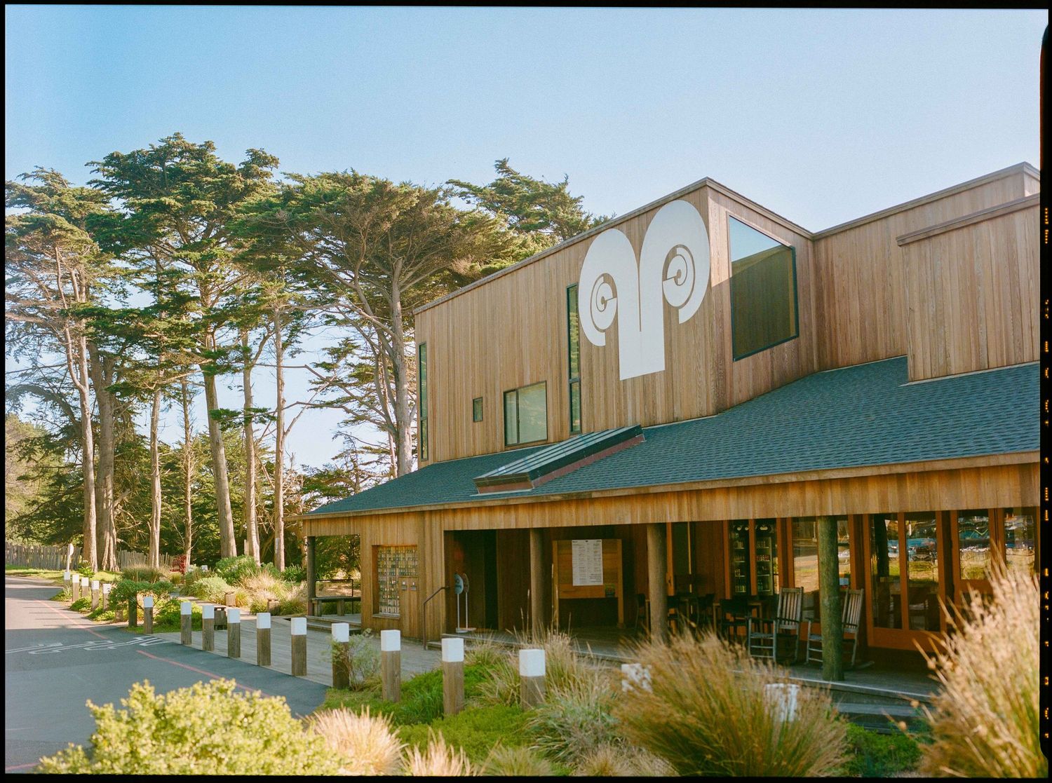 A charming wood-sided building with a green roof sits surrounded by tall cypress trees outdoors.
