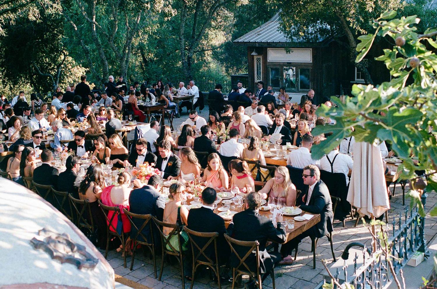 Large outdoor wedding reception with guests dining at long tables surrounded by lush garden greenery.