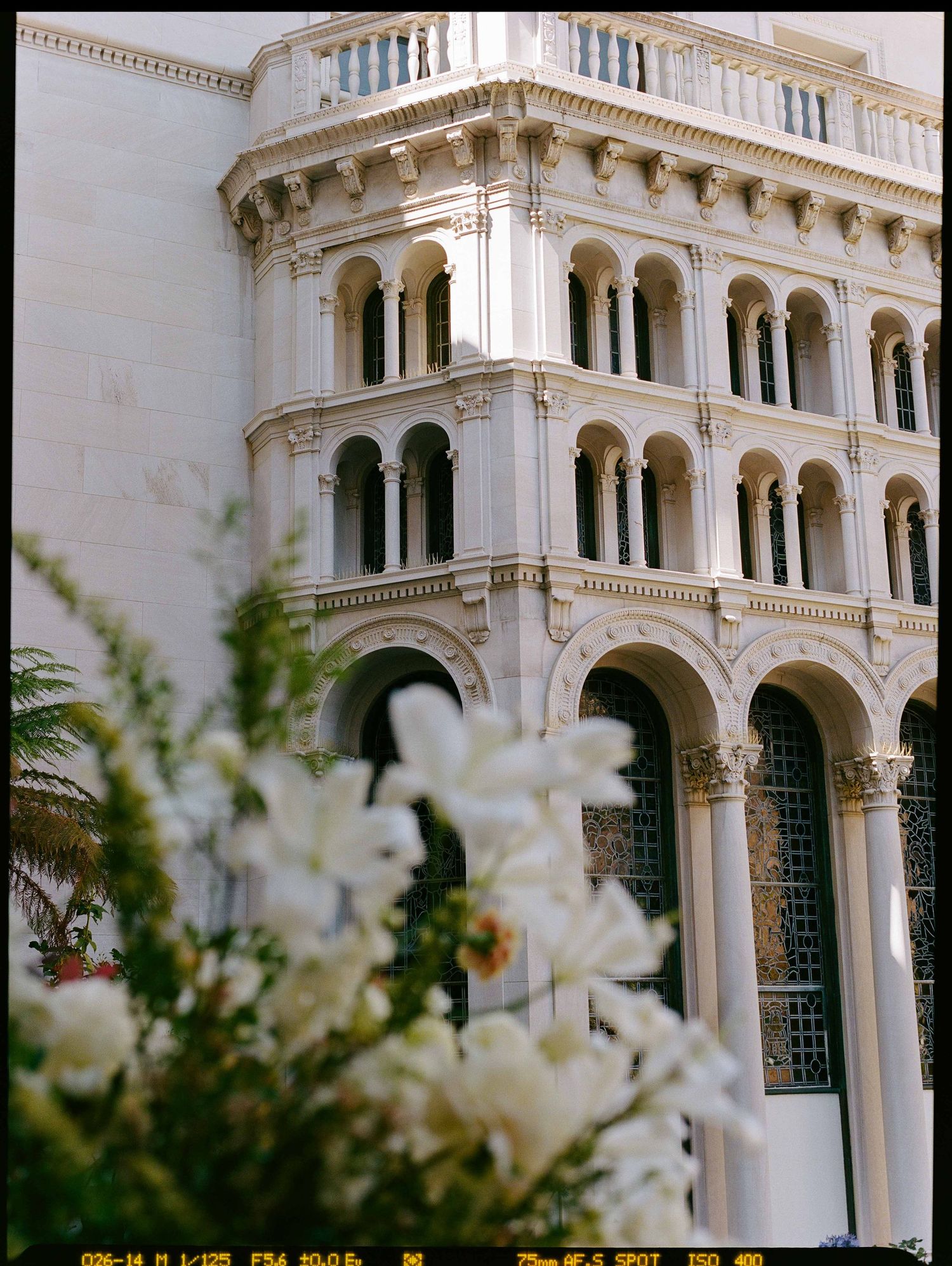White neoclassical building with arched colonnades and balconies, framed by blooming white flowers in the foreground.
