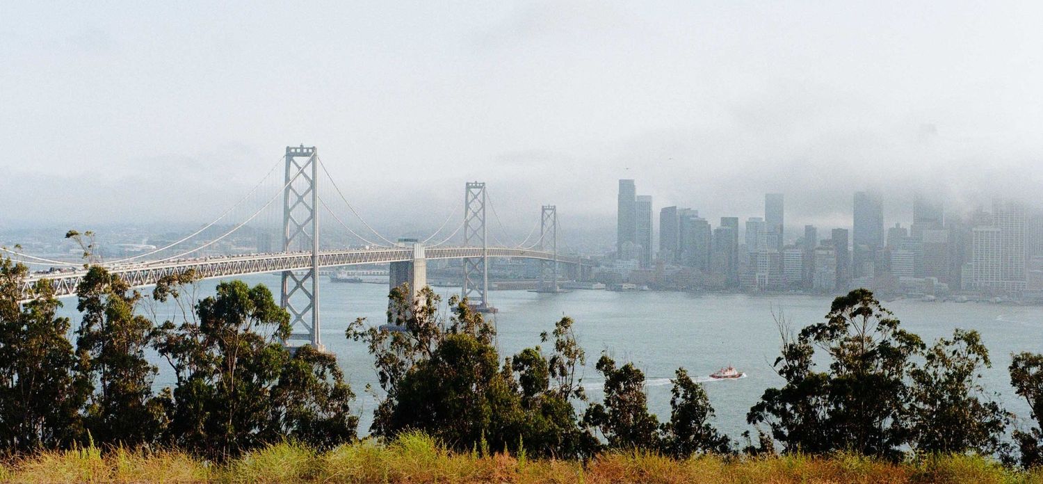 Panoramic view of San Francisco skyline and Bay Bridge shrouded in morning fog, seen from a hilltop with eucalyptus trees.