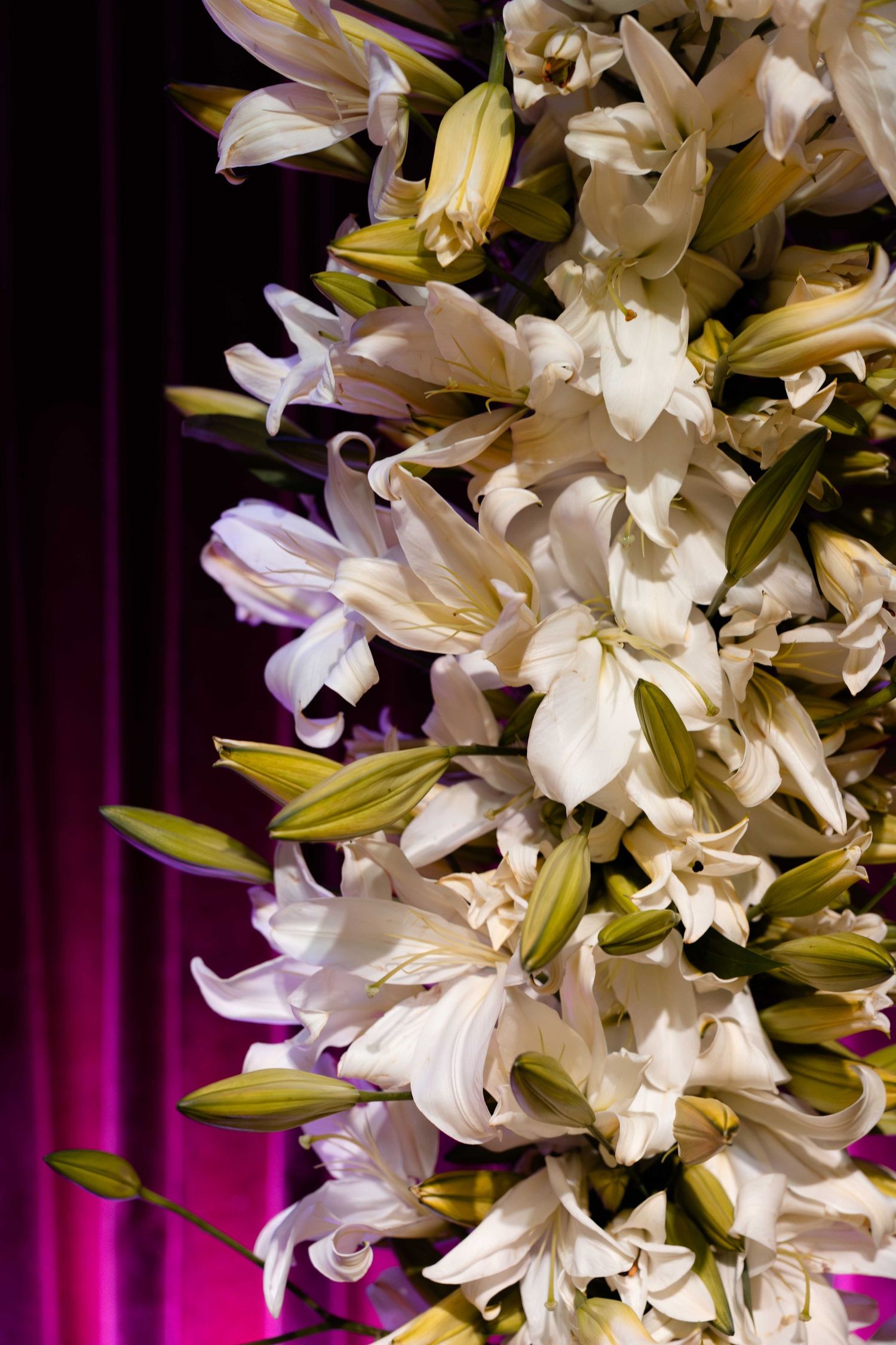 Elegant white lily flower arrangement with green buds against a purple backdrop.