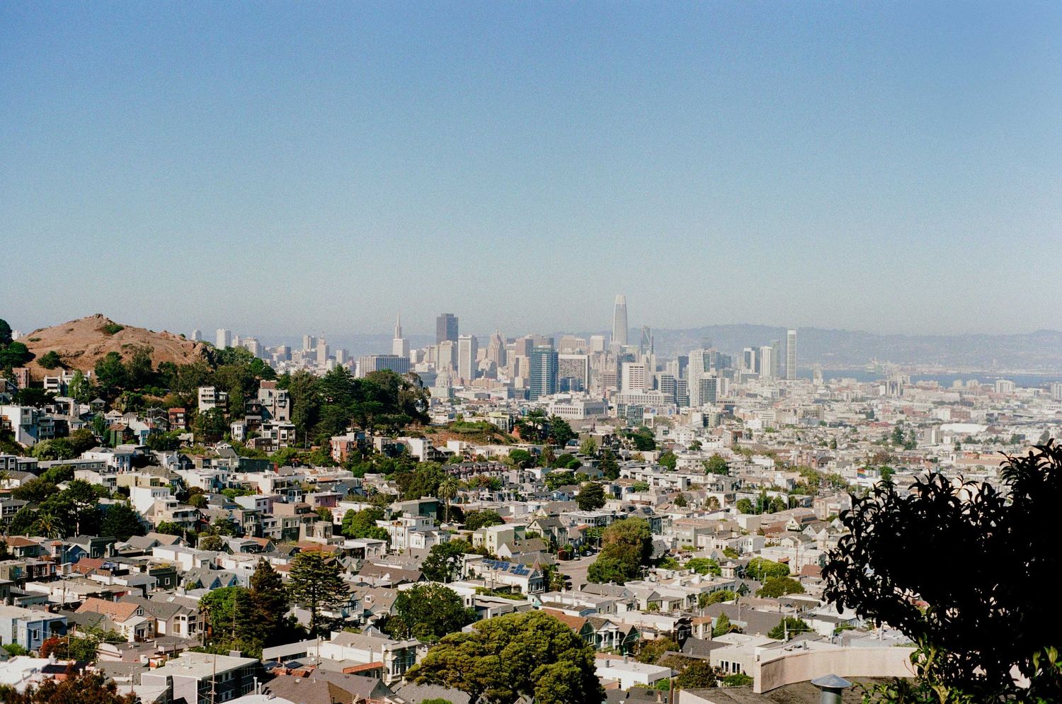 San Francisco city skyline taken from Kite Hill.