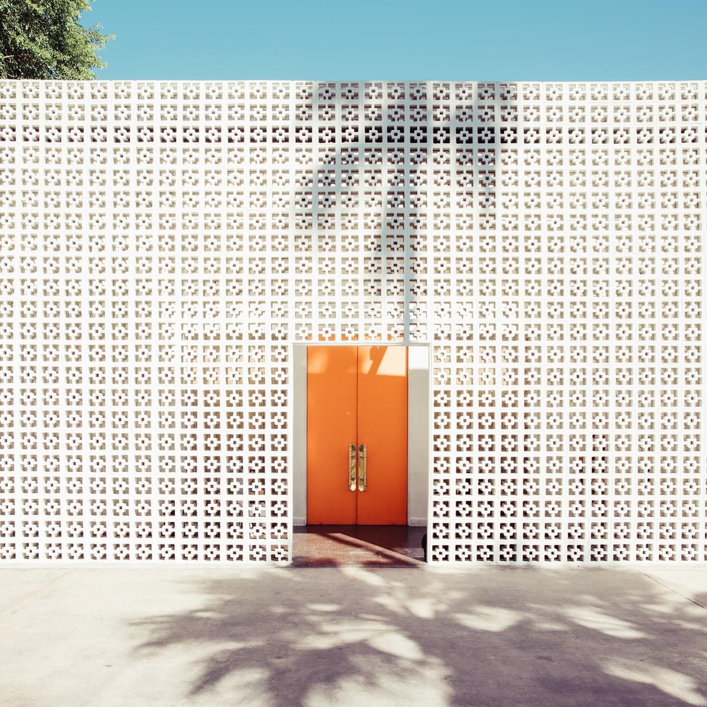 A bold orange door contrasts against a white decorative breeze block wall with palm tree shadows.
