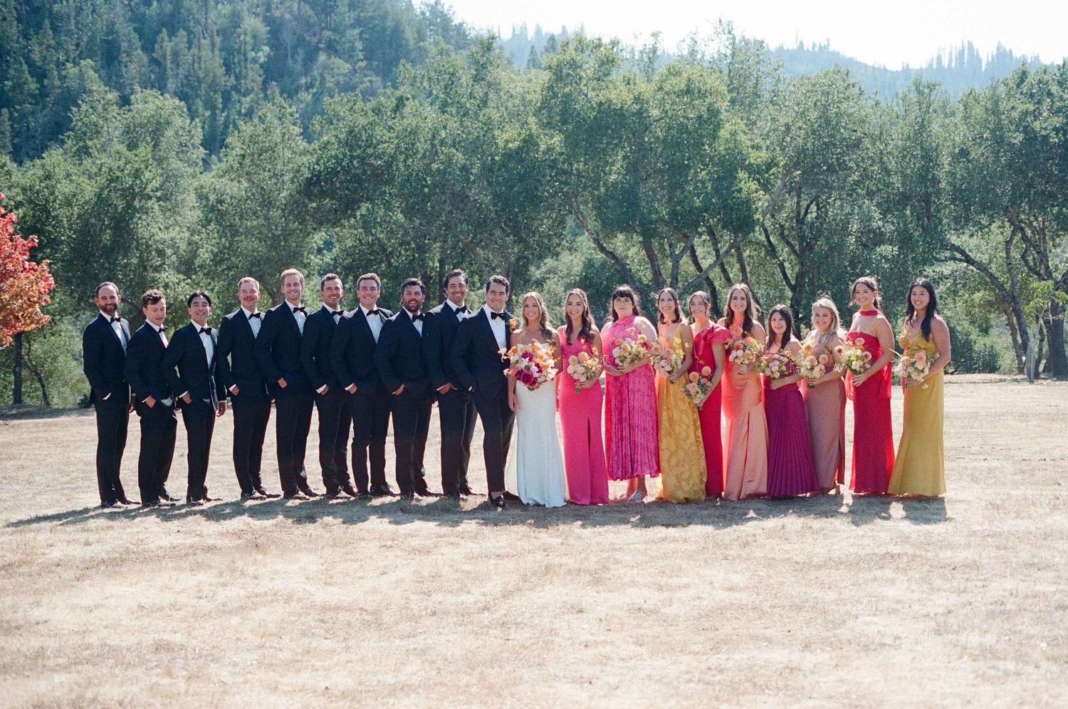 Wedding party poses in a field, groomsmen in black tuxedos and bridesmaids in colorful gowns.