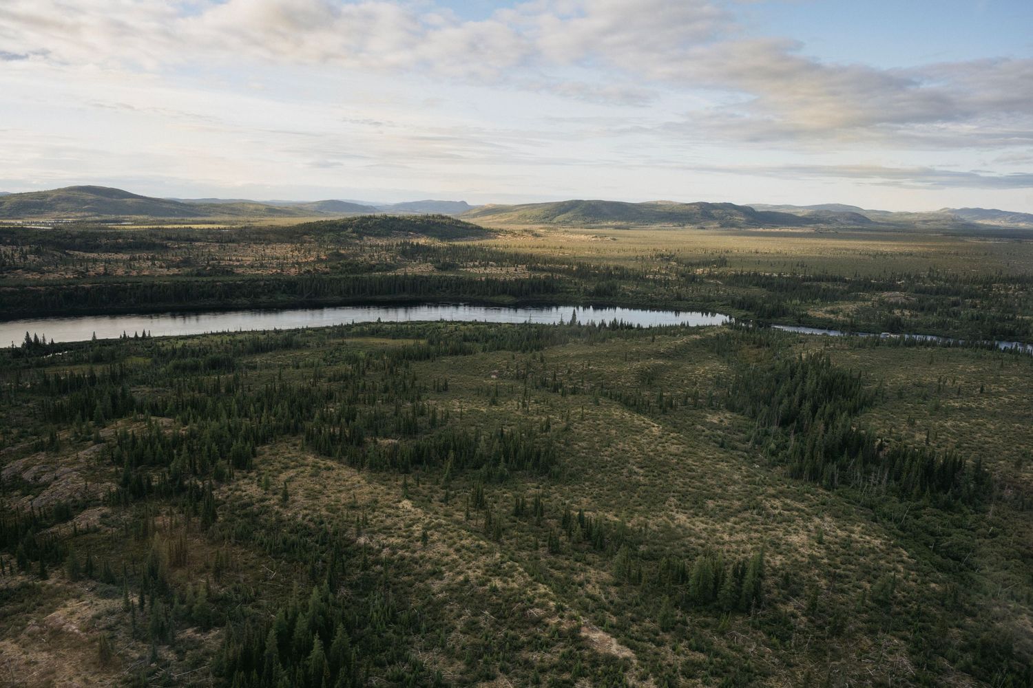 Aerial view of a vast boreal forest landscape with a winding river, open tundra, and distant mountains under a cloudy sky.