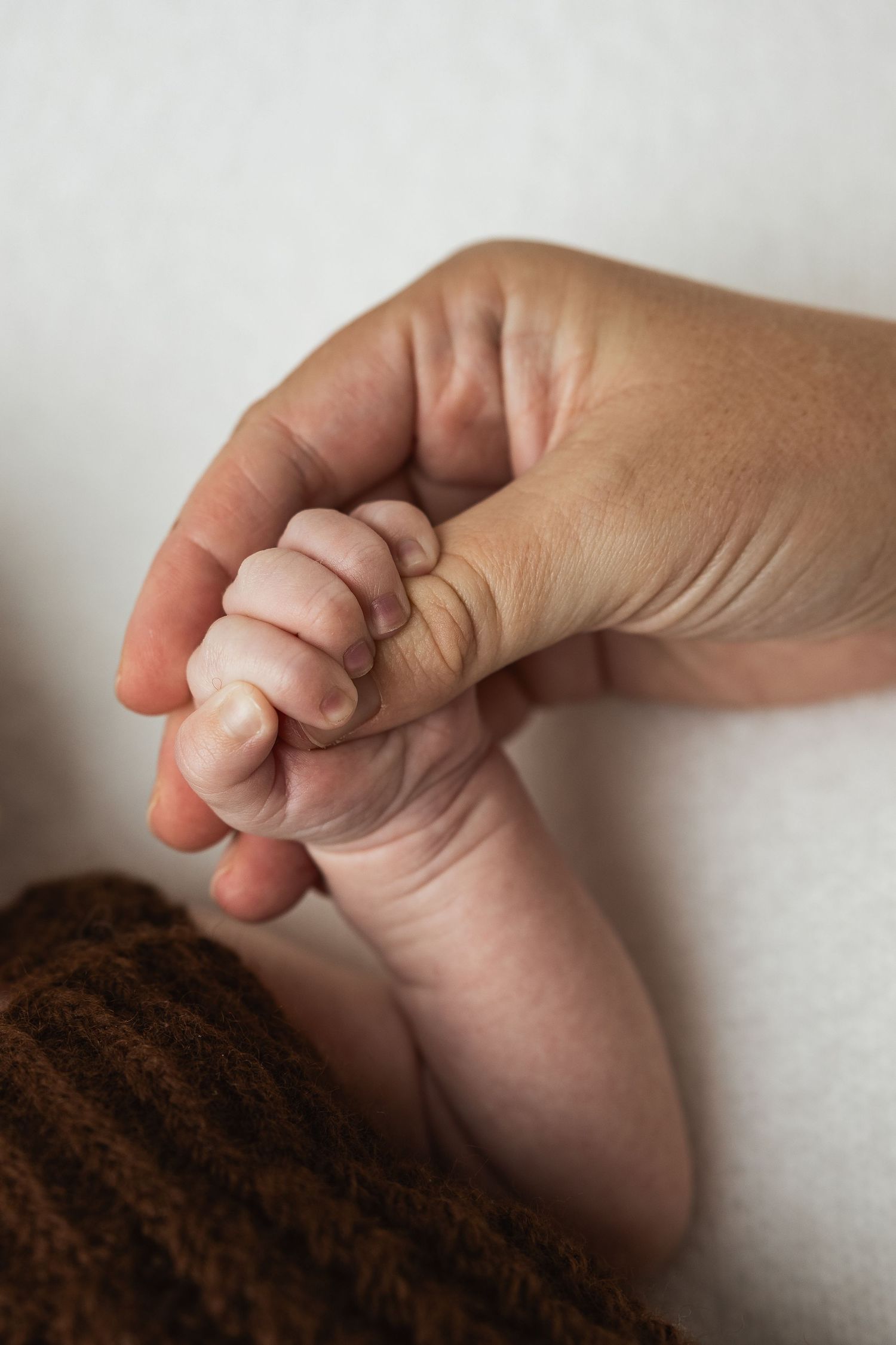 Tender close-up of newborn baby hand gently gripping adult finger on white background.