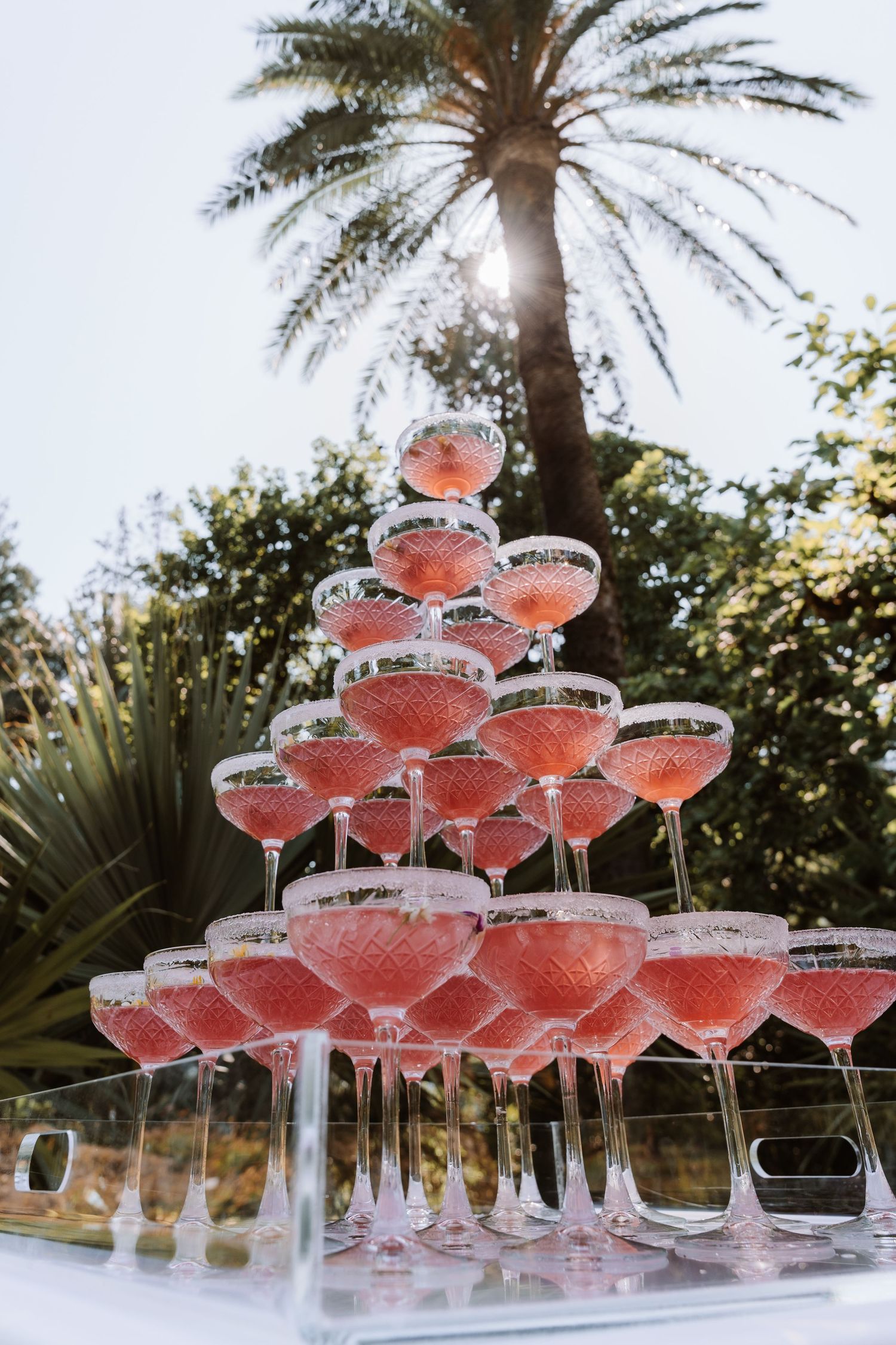 A champagne tower of pink cocktails arranged in layers under a palm tree with sunlight streaming through the fronds.