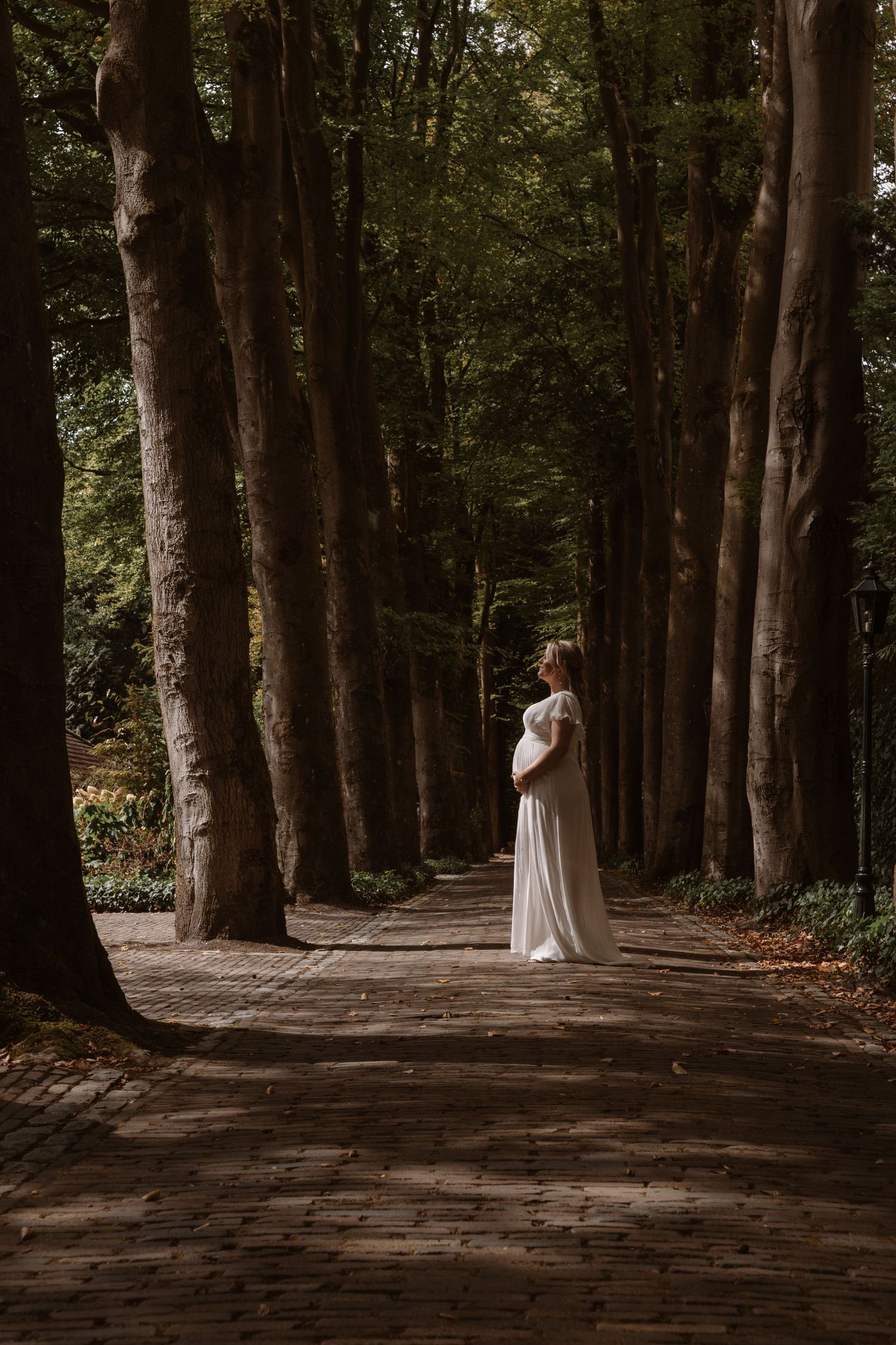 A dramatic wide shot of a wedding couple standing in a tree-lined pathway.