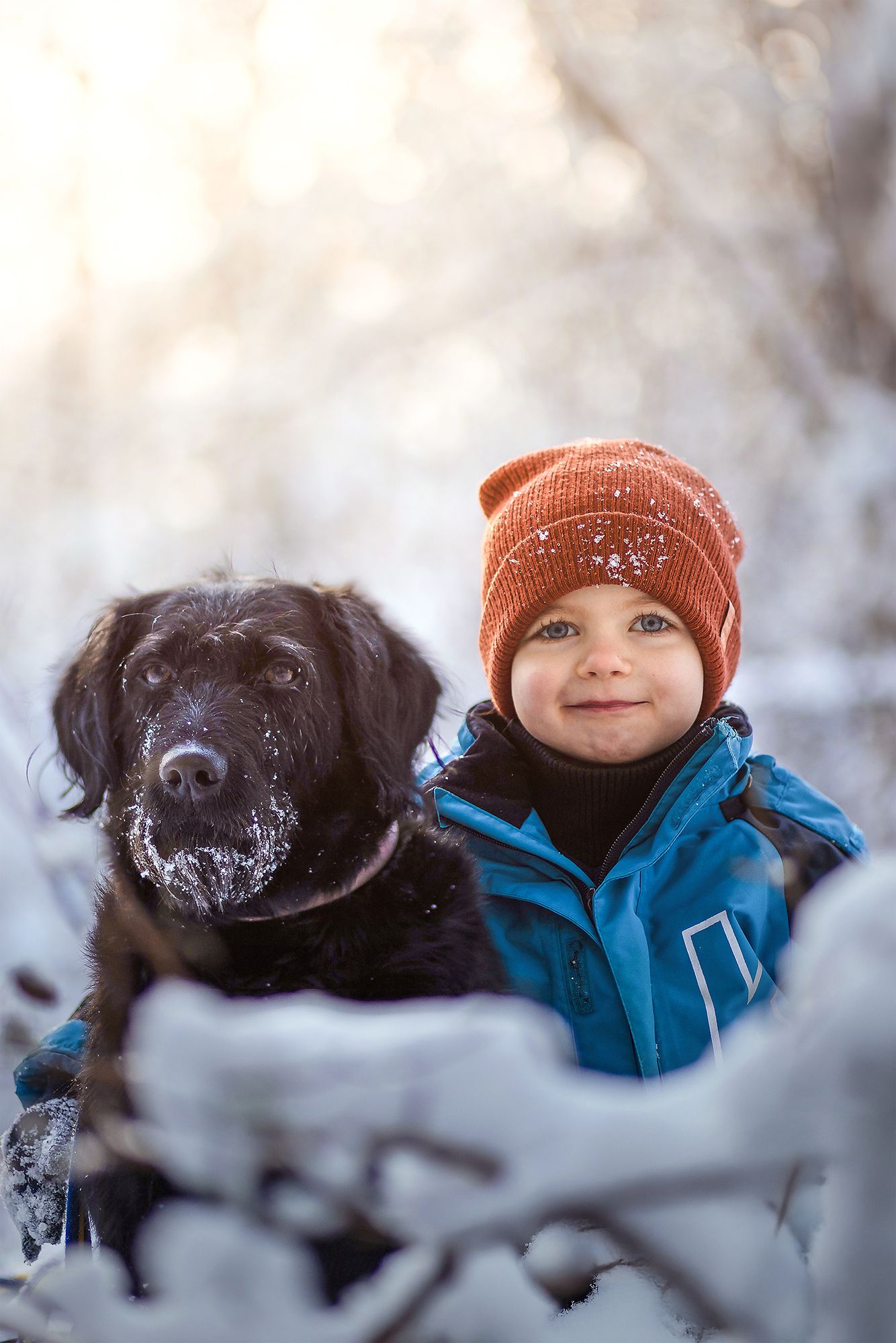 Labradoodle och pojke fotograferade i snön med vackert naturligt solljus i Lysekil utanför Göteborg.