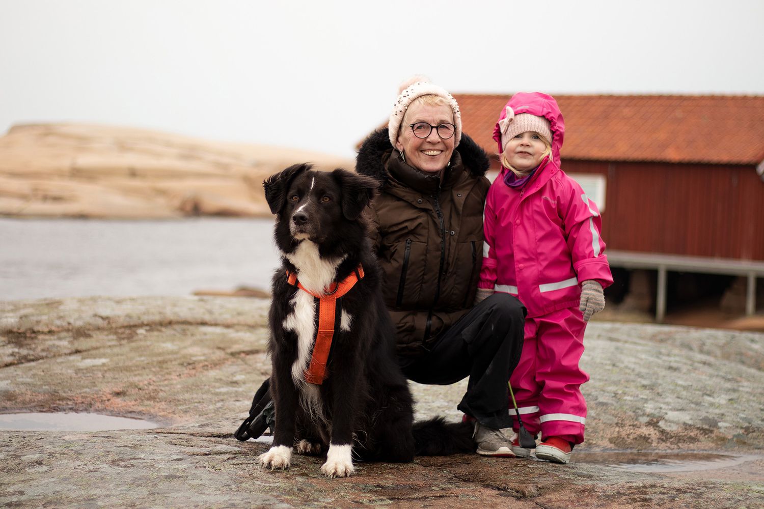Höst-fotografering tagen på mormor, bordercollie och barnbarn i mjukt naturligt ljus på Ramsvik, västkusten.