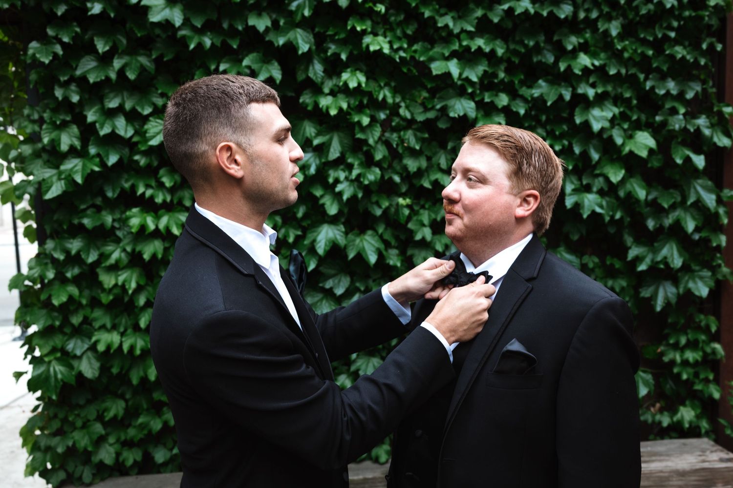 Groomsman straightening groom's bow tie outdoors with green ivy wall background.