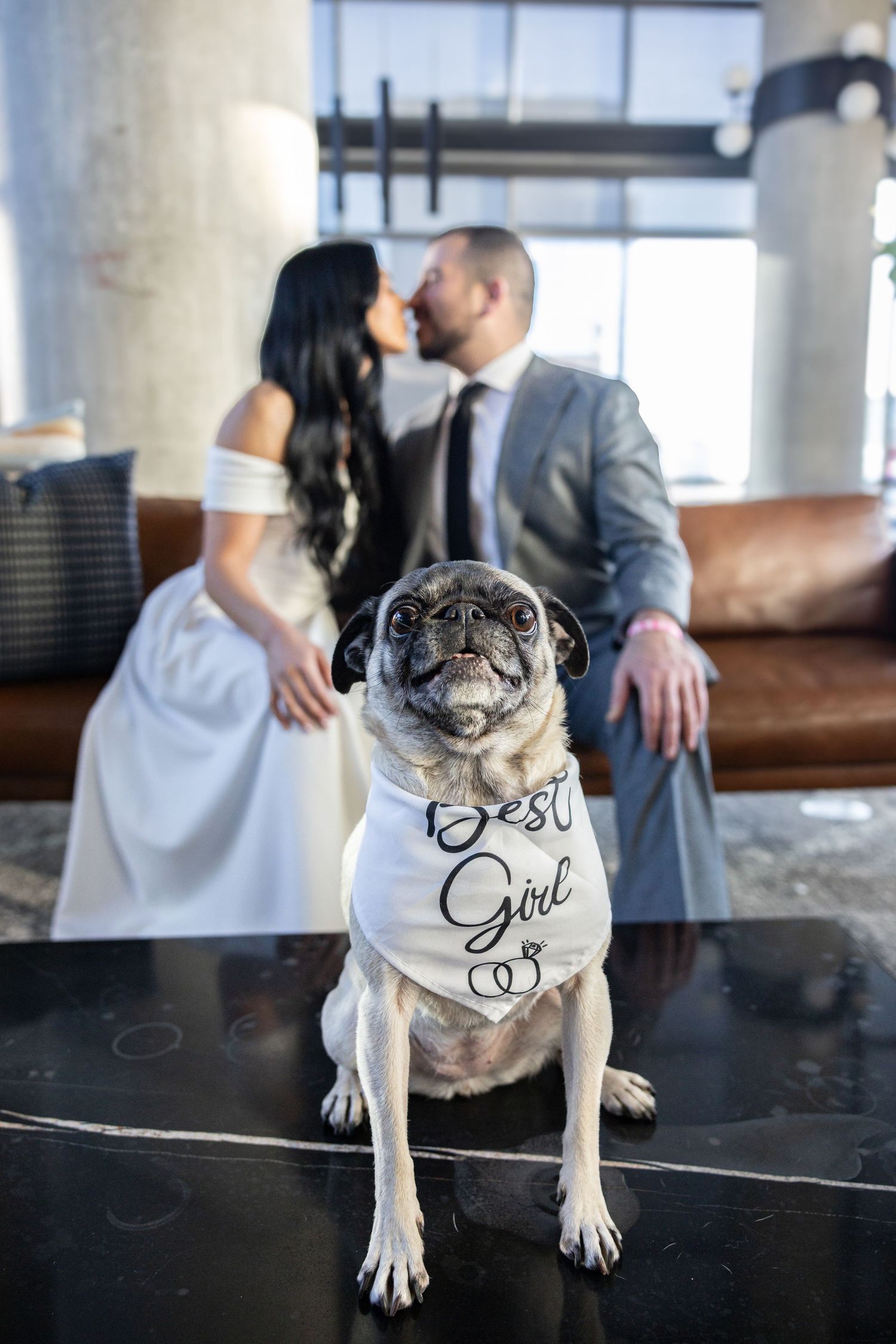 Photosby Amyth Chicago Photographer, Chicago Wedding Photographer, Illinois Wedding Photographer, Illinois Photographer