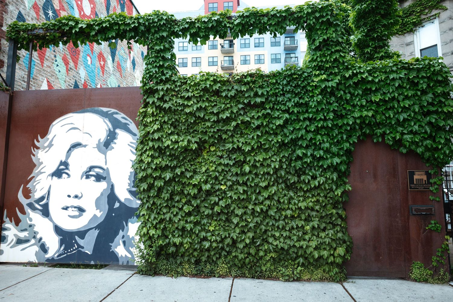 Large street art portrait mural on building exterior surrounded by climbing ivy.