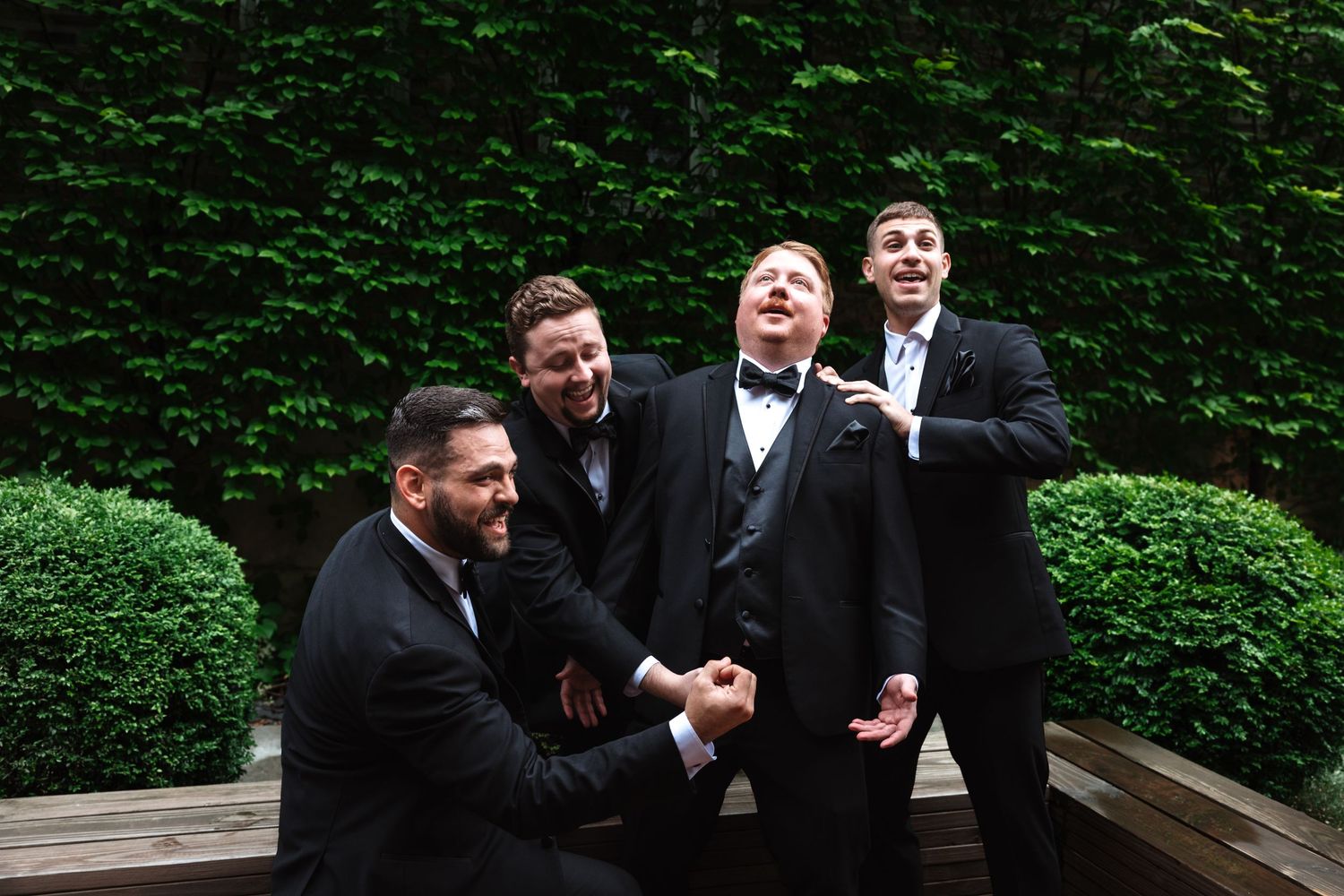 Four groomsmen in black tuxedos laughing and celebrating together outdoors against a lush green ivy wall.