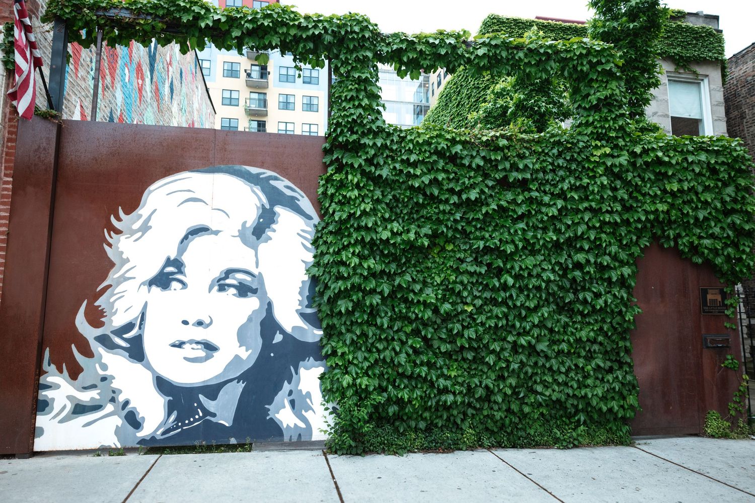 Black and white street mural portrait on wall covered with green ivy vines.