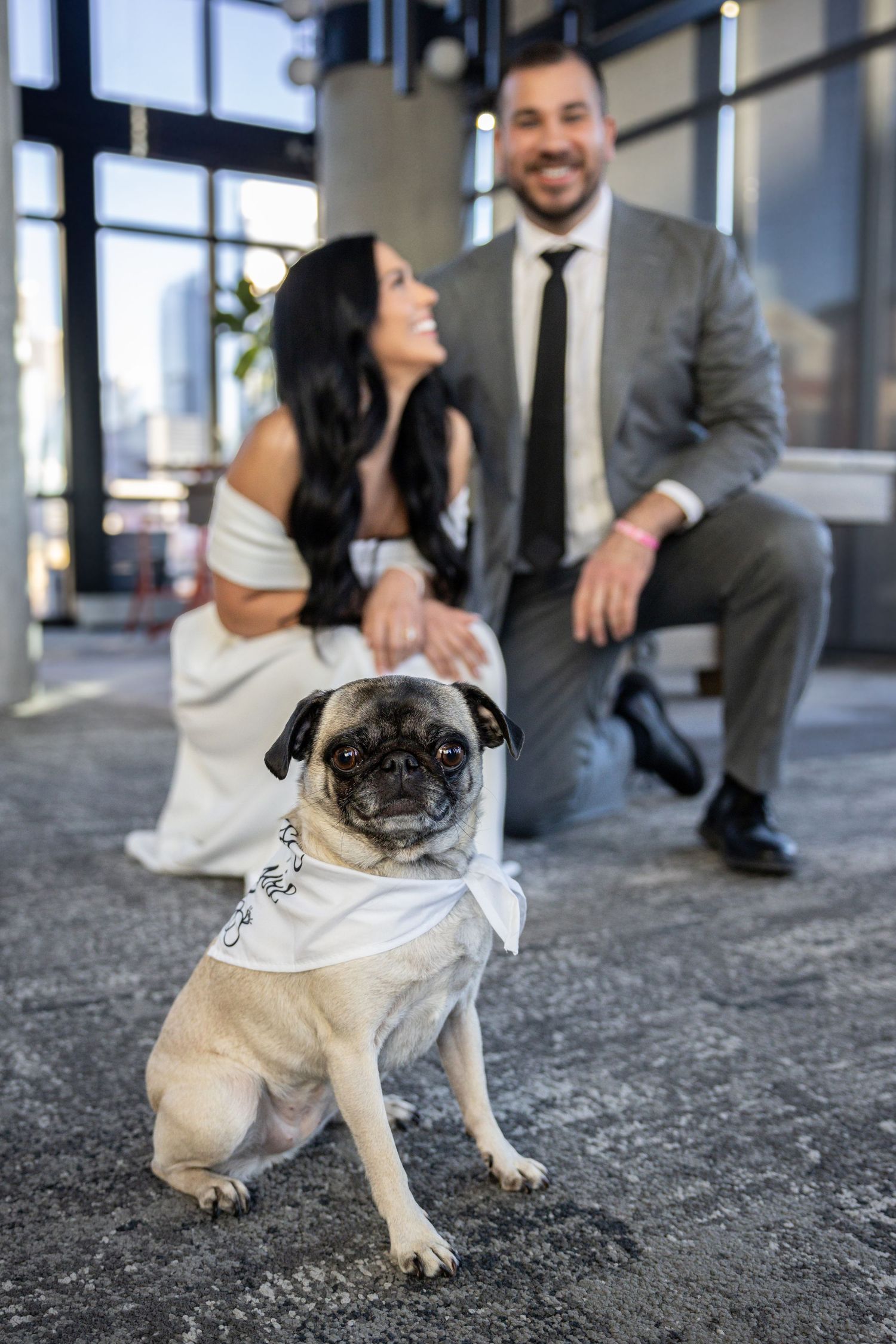 Photosby Amyth Chicago Photographer, Chicago Wedding Photographer, Illinois Wedding Photographer, Illinois Photographer