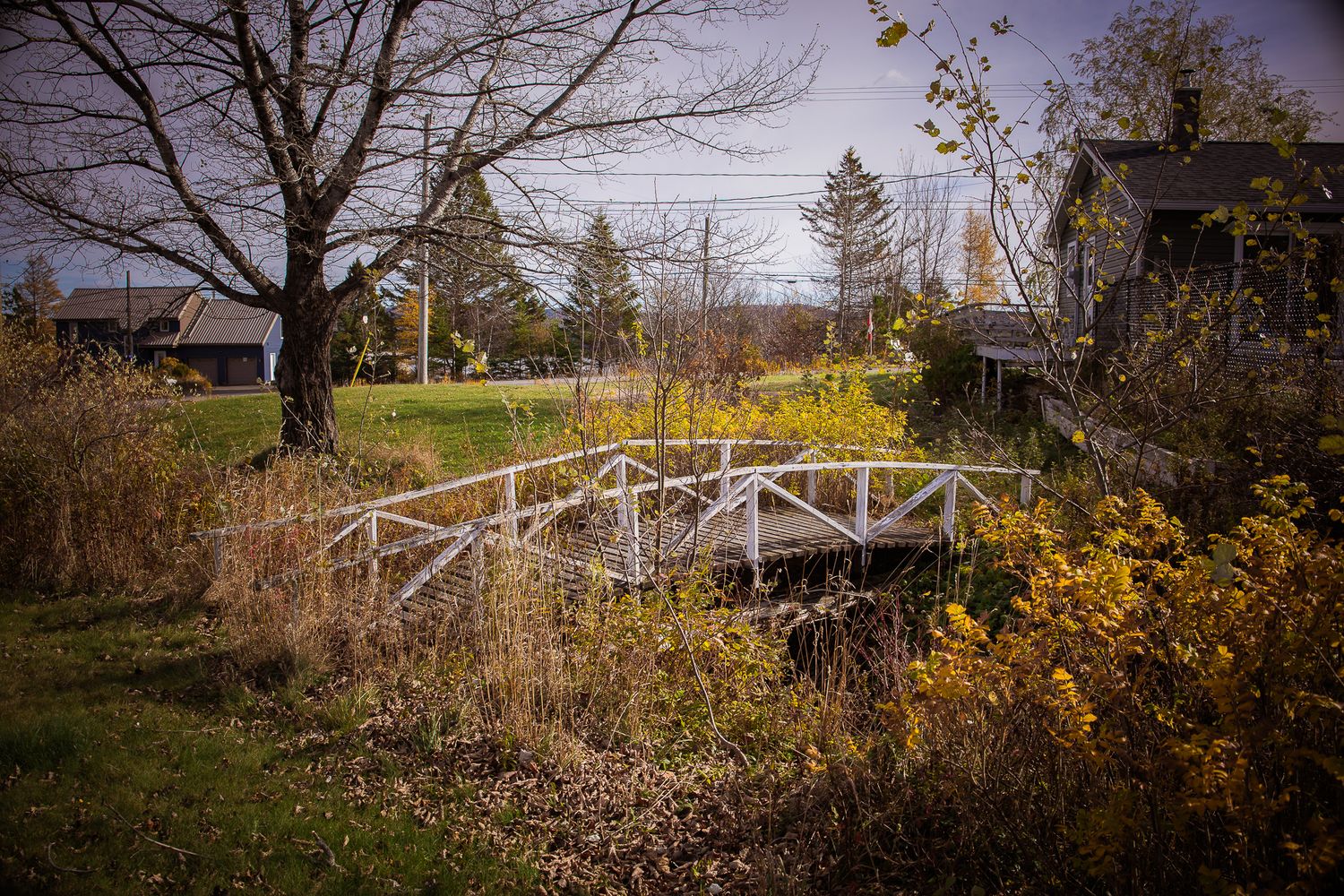 A rustic wooden fence stretches along an autumn landscape with bare trees and golden foliage in the background near Saint John.