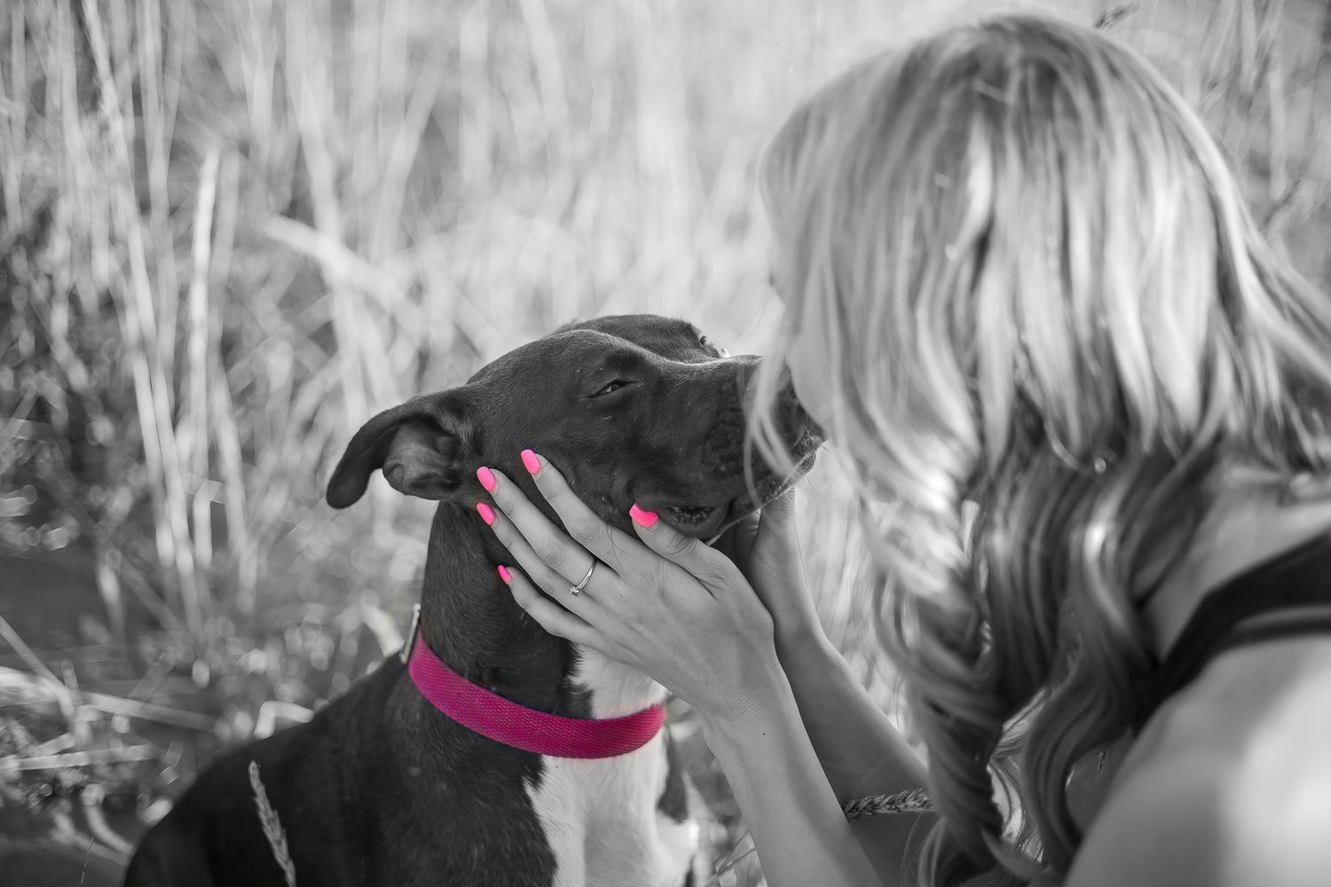 Black and white photo with a splash of pink color, showing a woman kissing her dog on the snout in Saint John