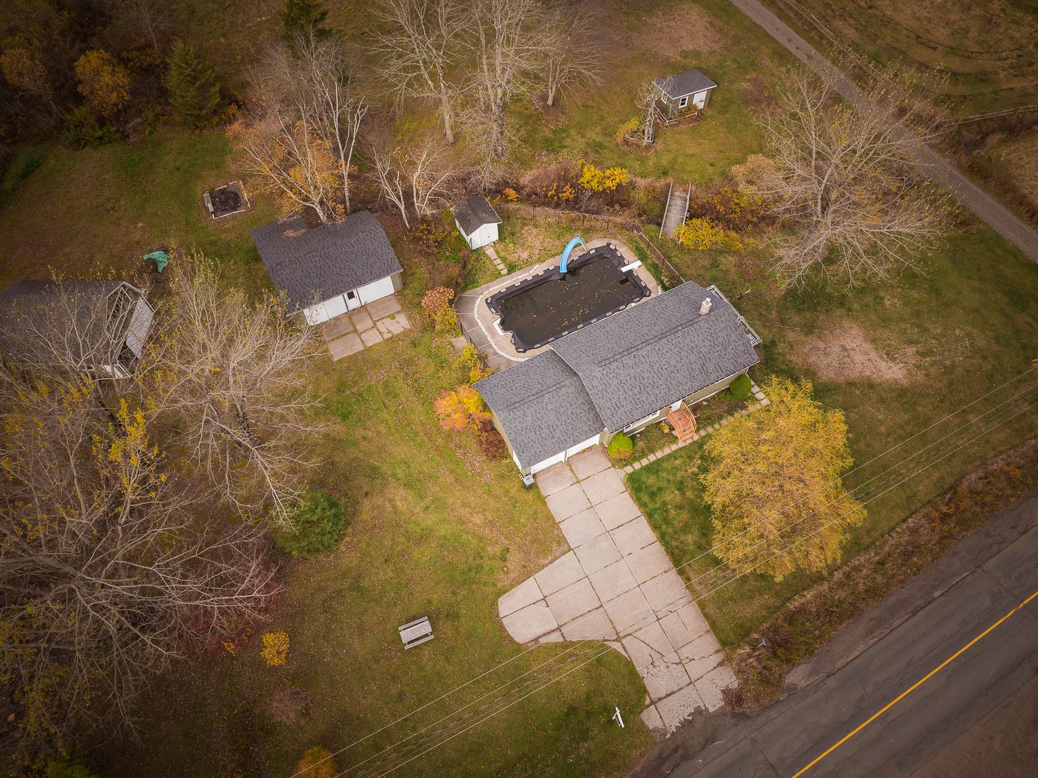 Aerial panoramic view of suburban houses and yards during autumn season with bare trees and fallen leaves near Saint John.