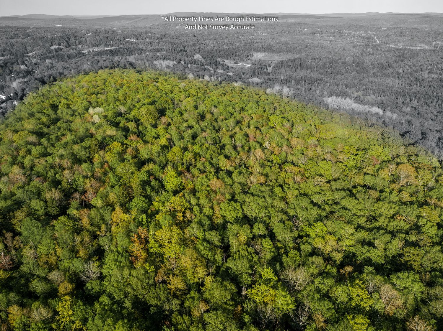 Bird's eye view of expansive forest canopy with mountain ridges in the distance, featuring 50 acres in Quispamsis, NB.