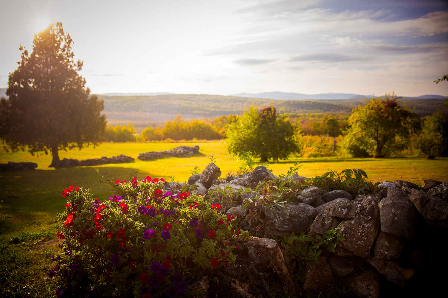 A picturesque scene featuring a rock wall and flowers in the foreground and a hills in the background, the scene looks like a dream