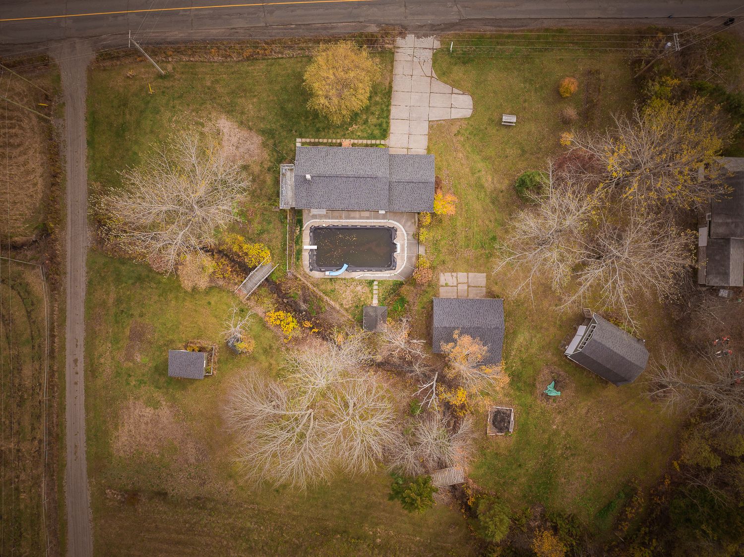 Aerial drone view of suburban homes and properties with autumn trees and bare branches in a residential neighborhood near Saint John.