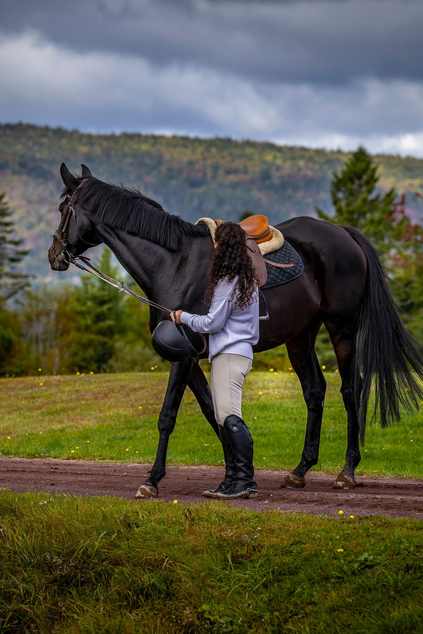 A  imageshows someone checking and examining a black horse's hooves in a grassy field with autumn hills behind, Quispamsis.