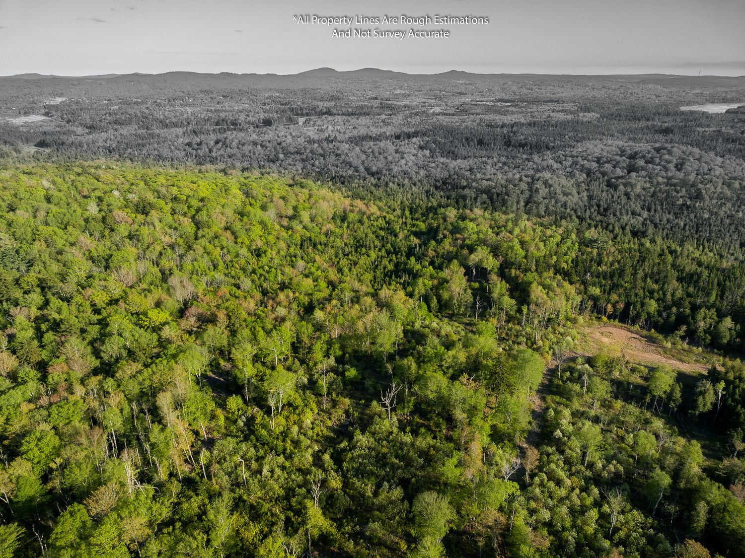 Aerial panoramic view of 50 acres of lush green forests and rolling hills stretching across a vast mountainous landscape, in Quispamsis