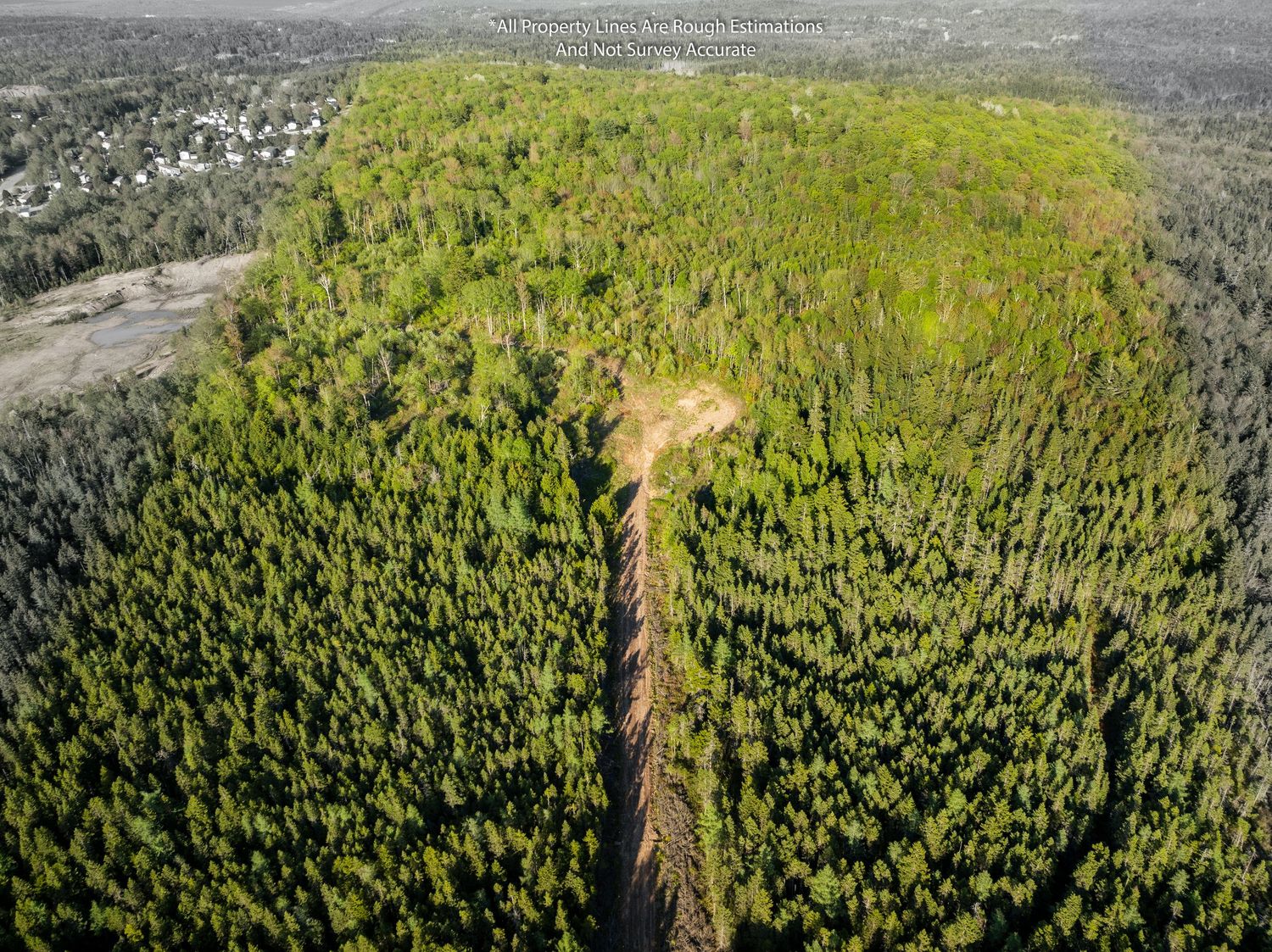 Aerial view of lush green forest landscape with winding roads cutting through dense tree coverage, featuring 50 acres in Quispamsis, NB.