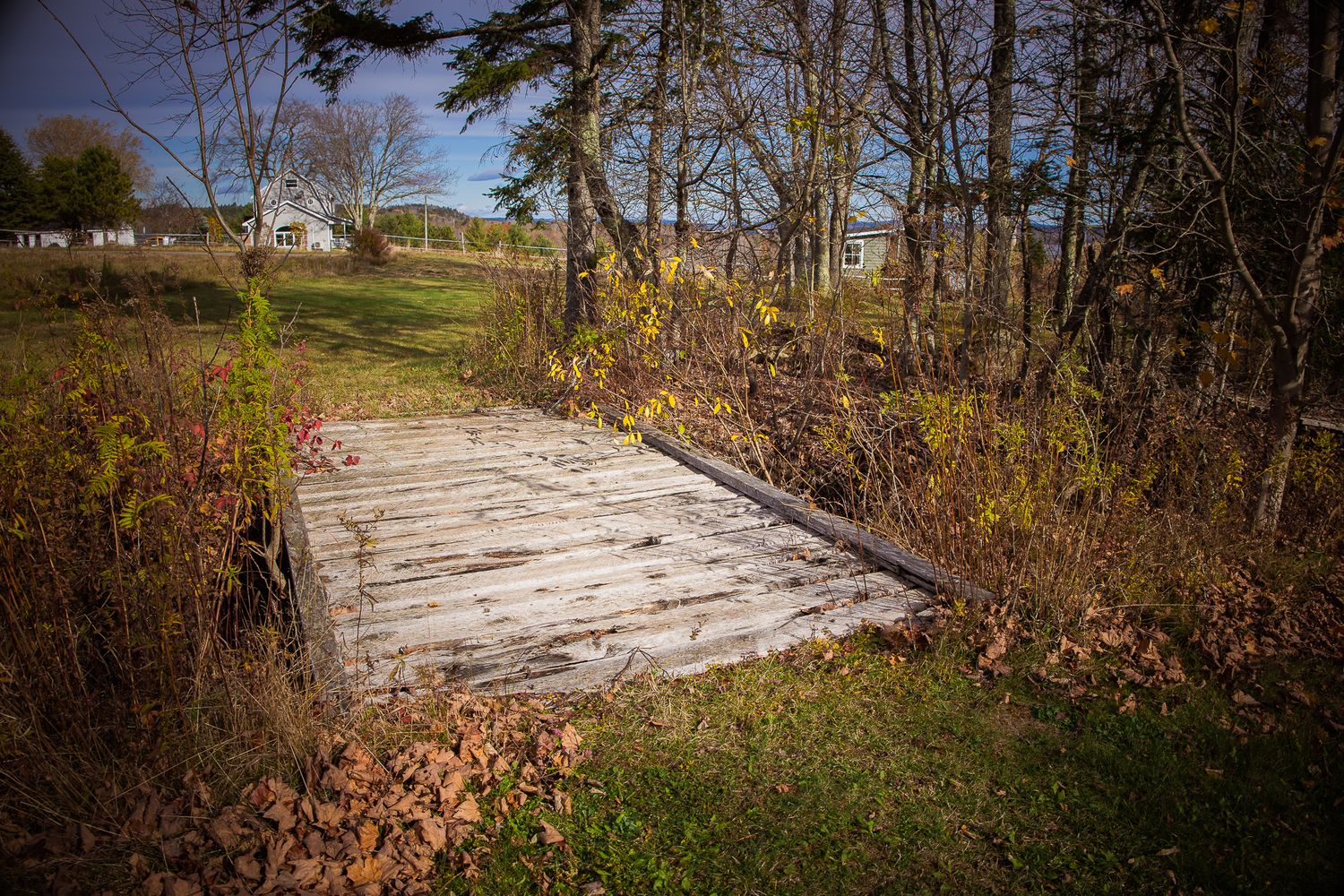 A wooden footbridge crosses over a stream in an autumn forest setting with fallen leaves and bare trees near Saint John.