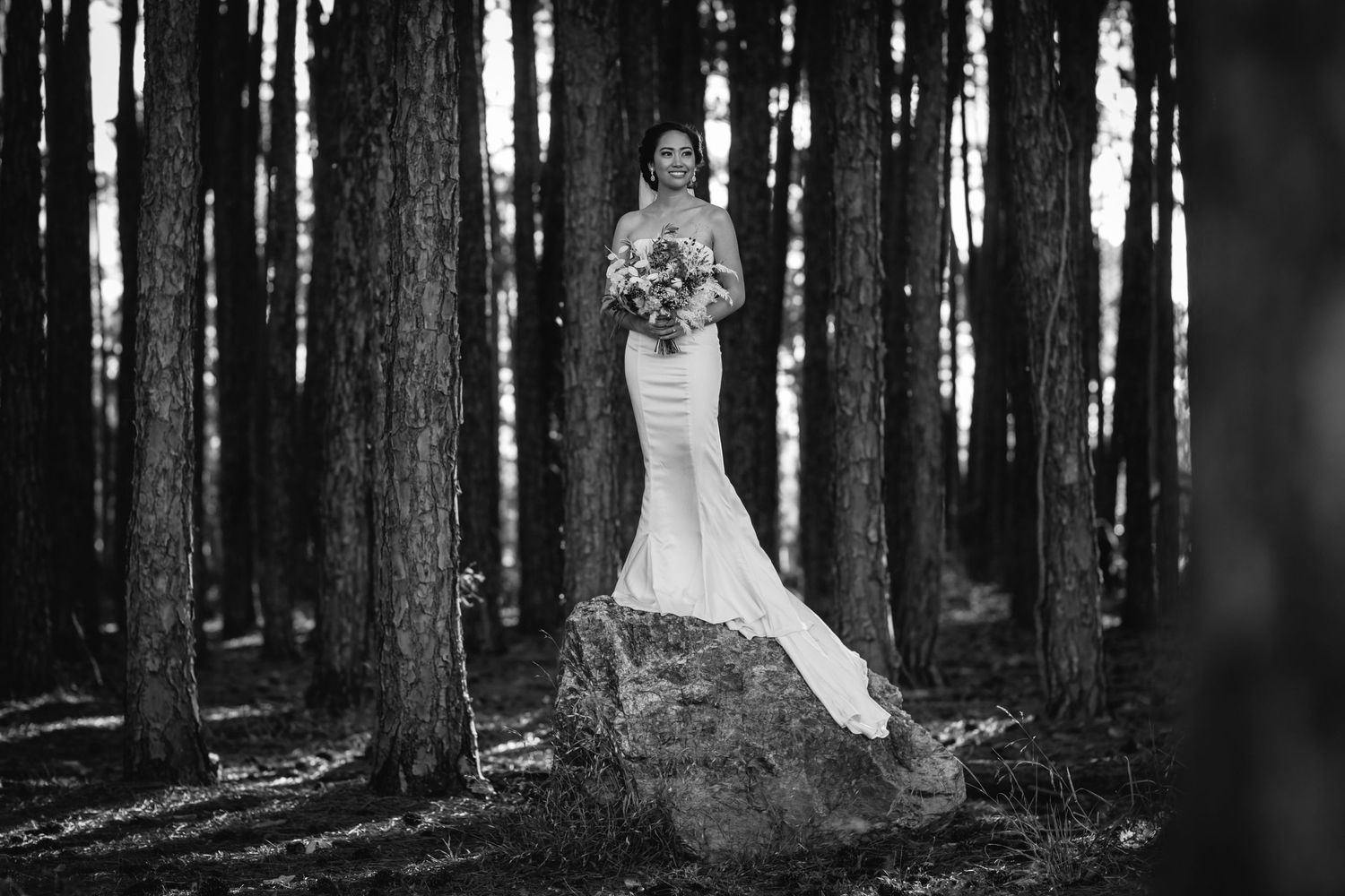 Dramatic black and white portrait of newlyweds in a forest setting.pizzey park wedding Gold Coast