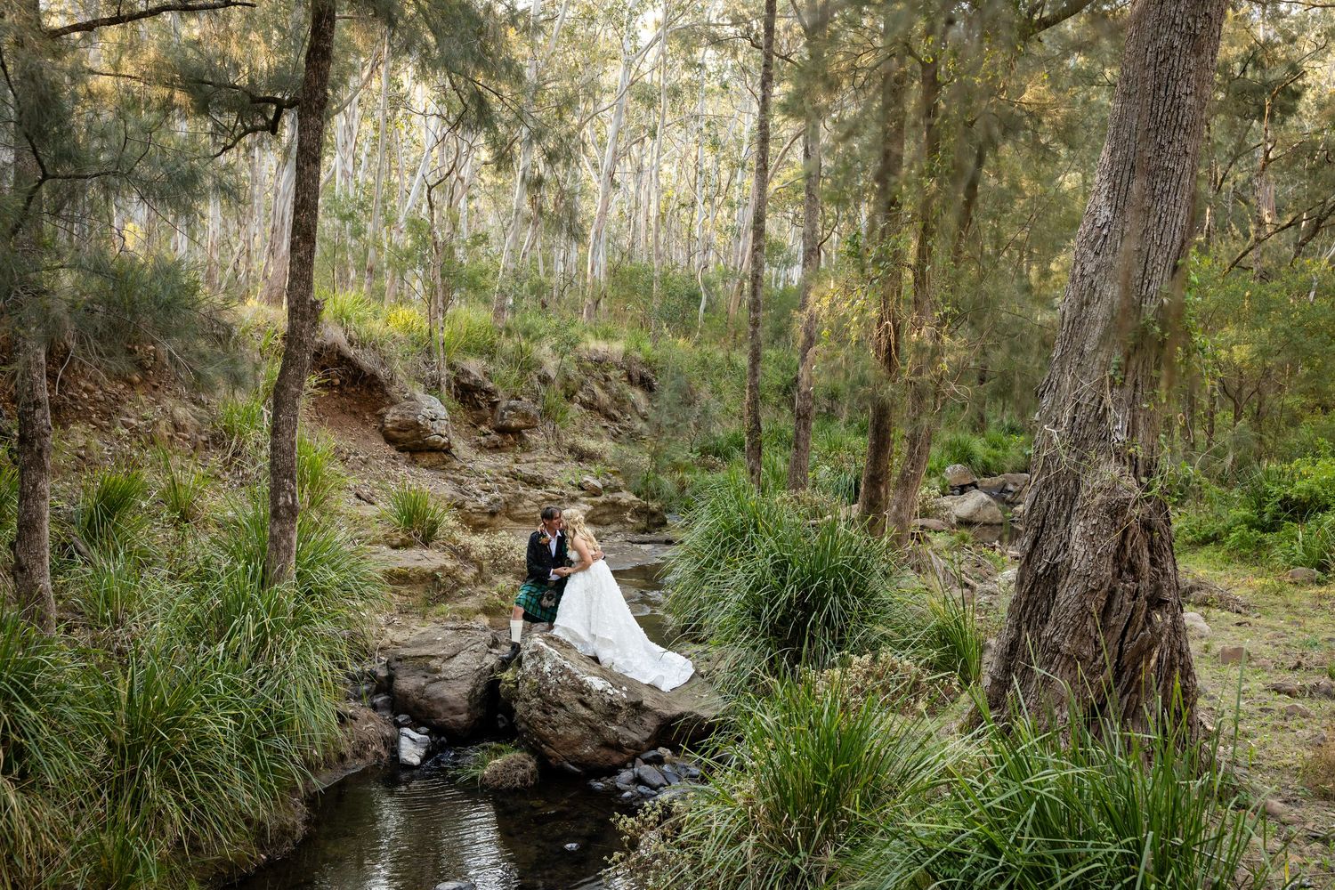 A scenic forest path with tall trees and natural greenery creating a peaceful outdoor setting.