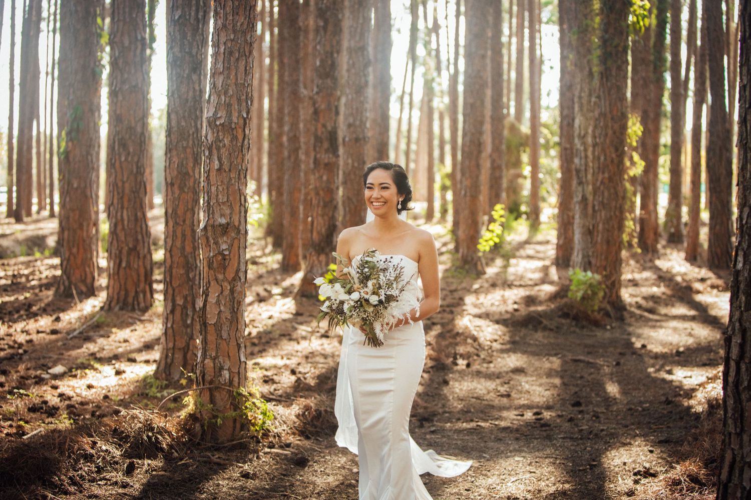 Elegant outdoor wedding ceremony setup in a pine forest with natural lighting filtering through trees.pizzey park wedding Gold Coast