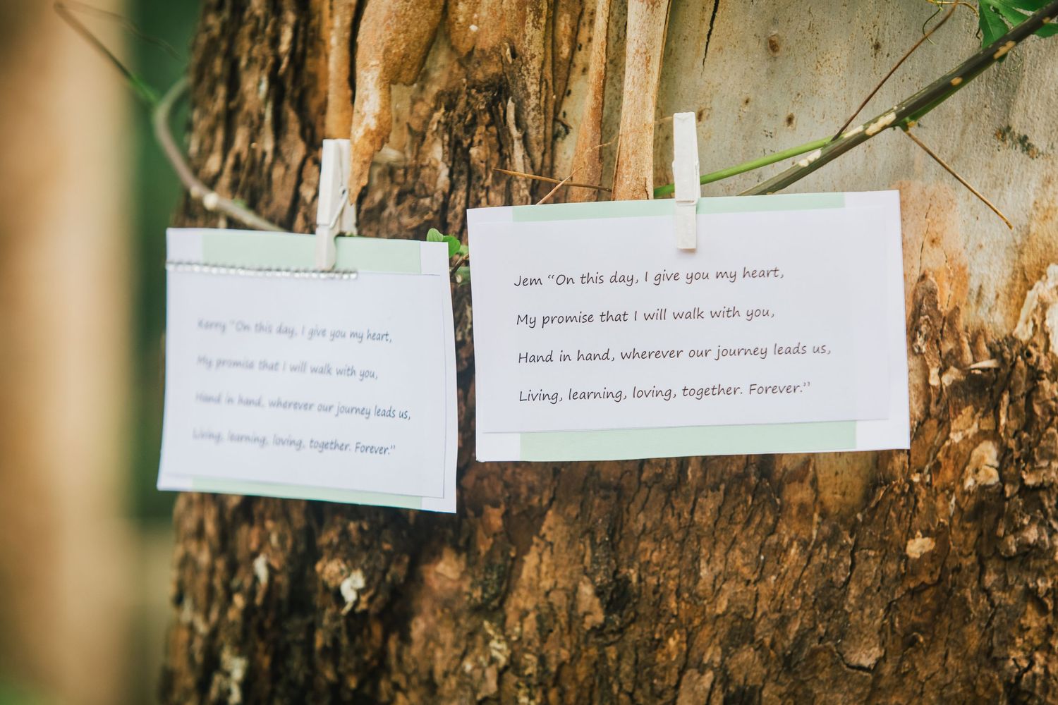Handwritten notes hanging on string against rustic tree bark background.