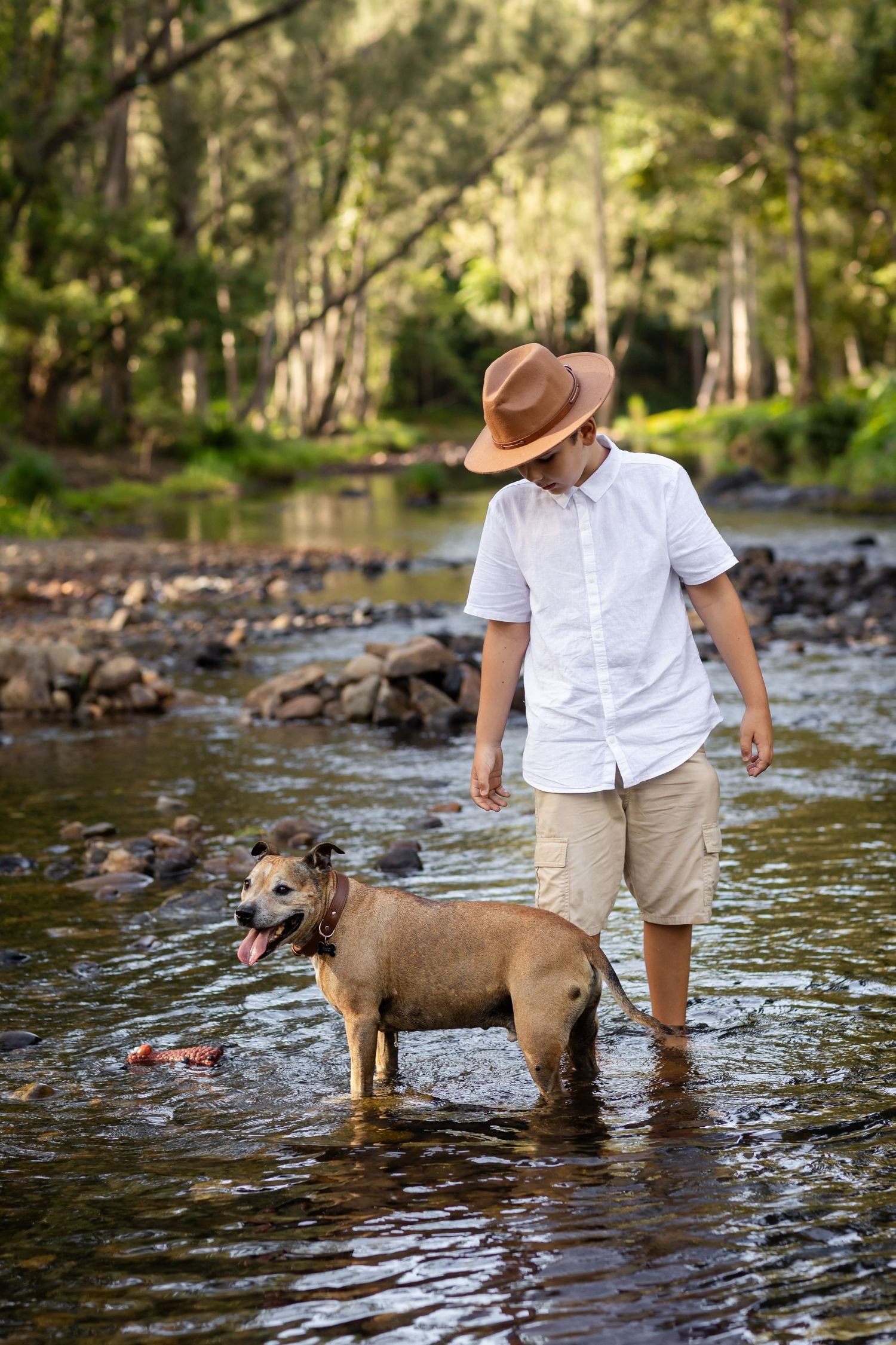 Children and their dog play in a shallow stream on a sunny day while wearing casual summer clothes.Tallebudgera family photography. Gold Coa
