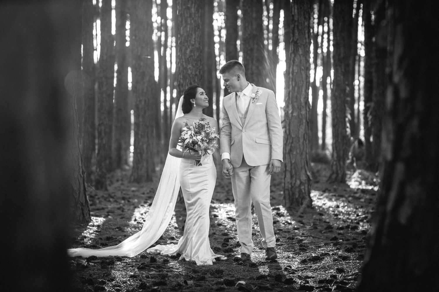 Wedding couple poses between tall tree trunks in dramatic lighting. pizzey park wedding Gold Coast